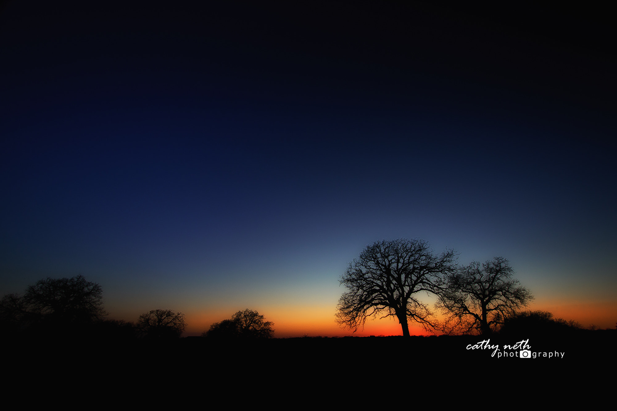Nikon D810 + Nikon AF-S DX Nikkor 10-24mm F3-5-4.5G ED sample photo. Oak tree silhouette at sunset photography