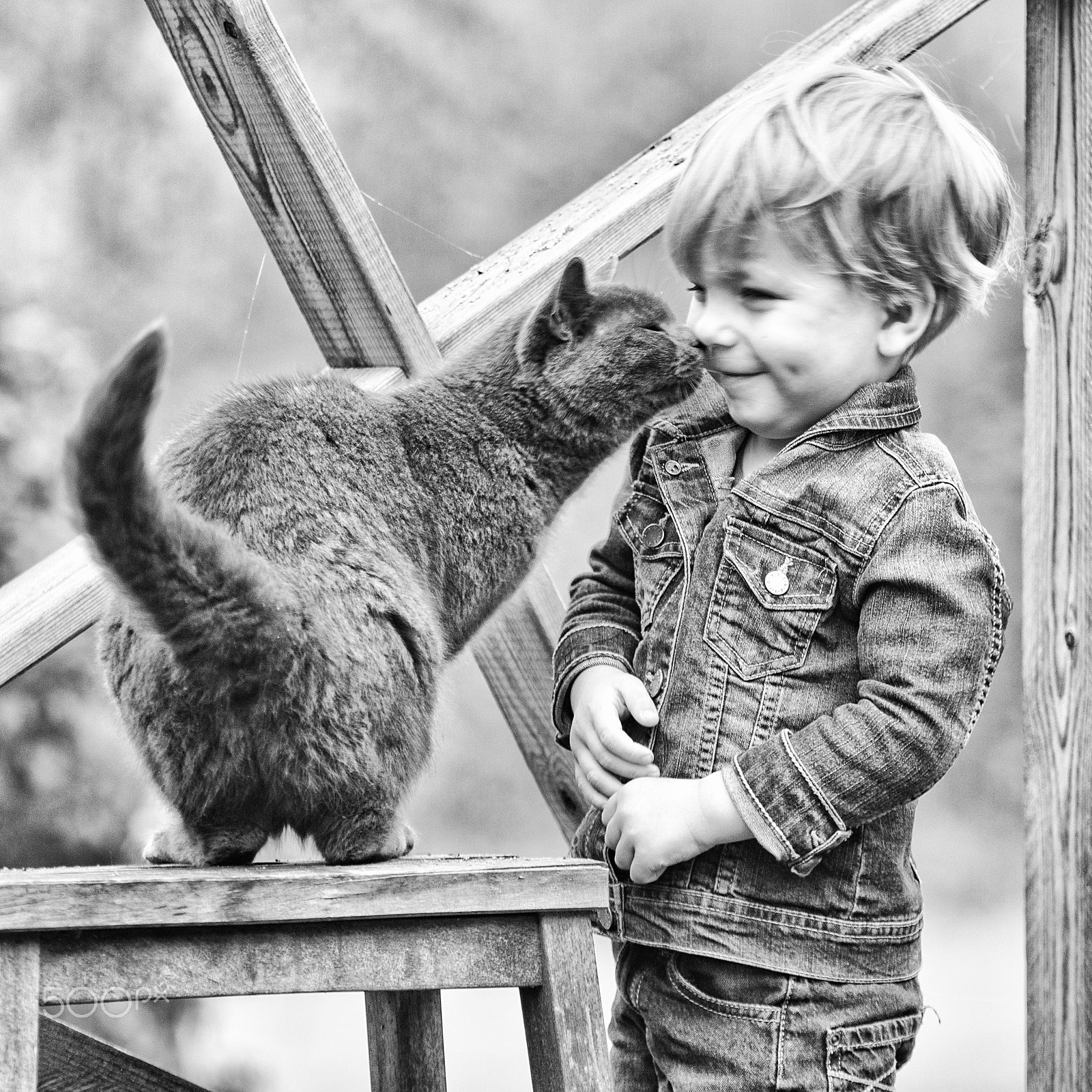 Sony ILCA-77M2 + 70-200mm F2.8 sample photo. Catkiss photography