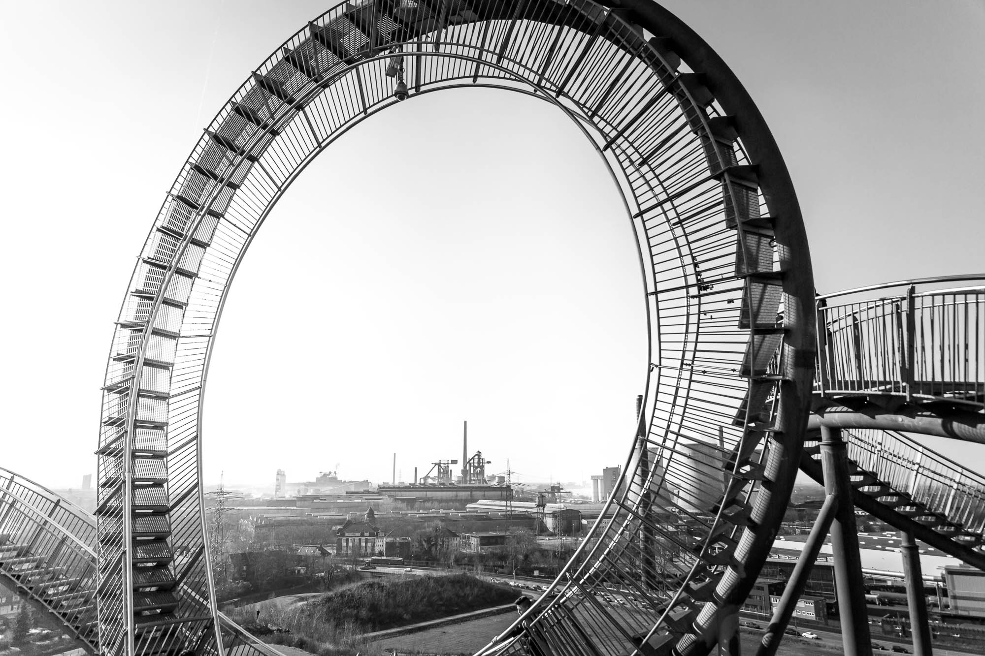 Canon EOS 6D + Canon EF 500mm F4L IS USM sample photo. Tiger &amp; turtle photography