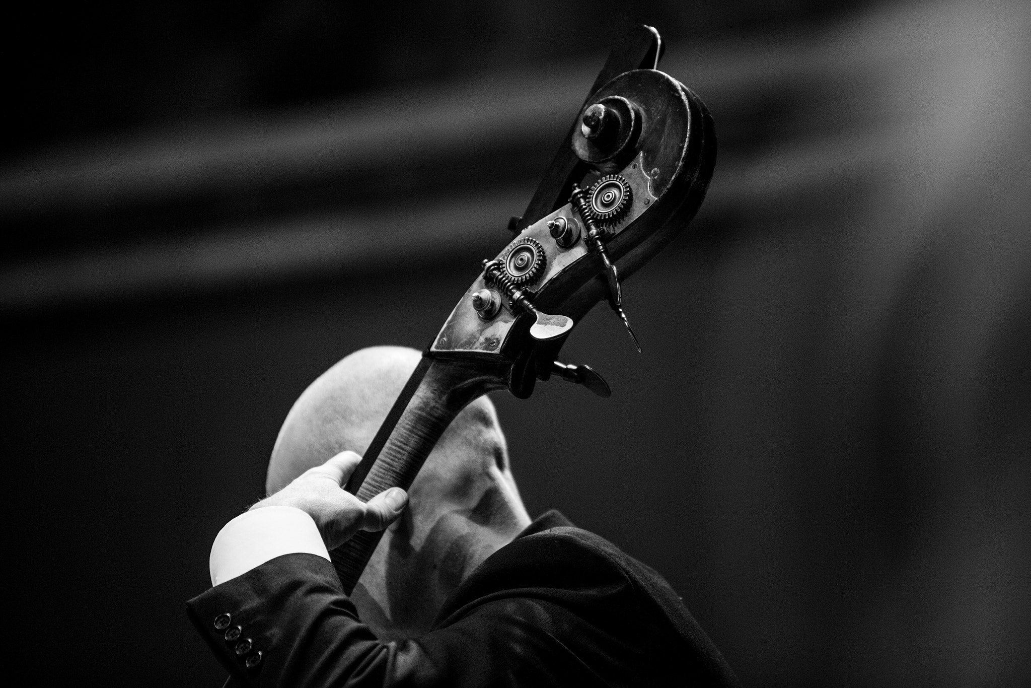 Canon EOS 5DS sample photo. All about the bass photography