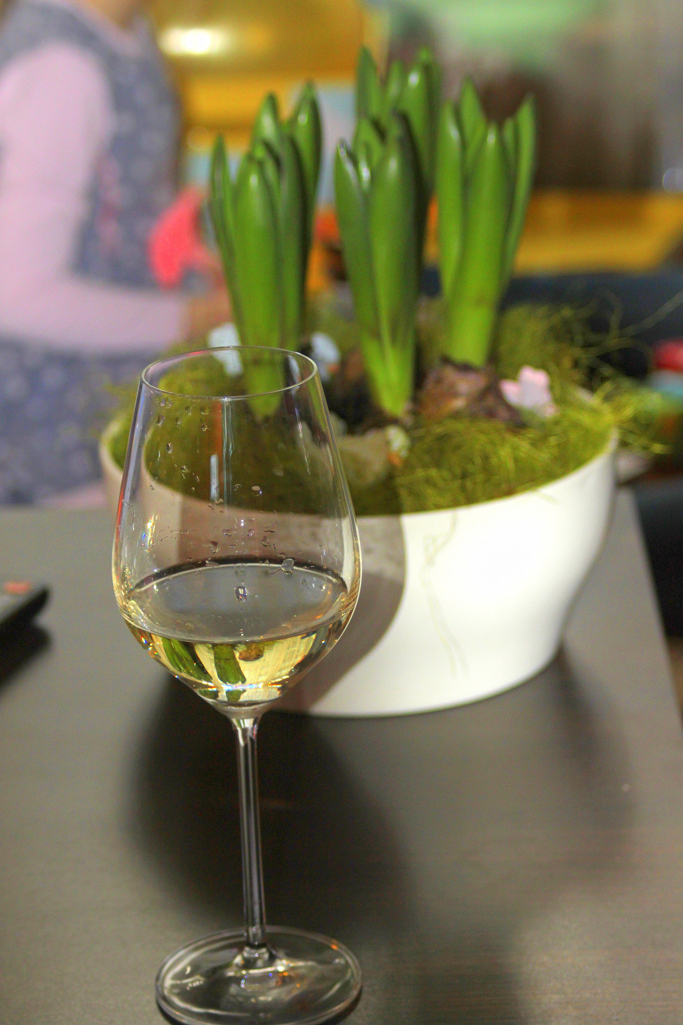 Canon EOS 500D (EOS Rebel T1i / EOS Kiss X3) + Canon EF 28-90mm f/4-5.6 sample photo. Wine...flower...spring photography