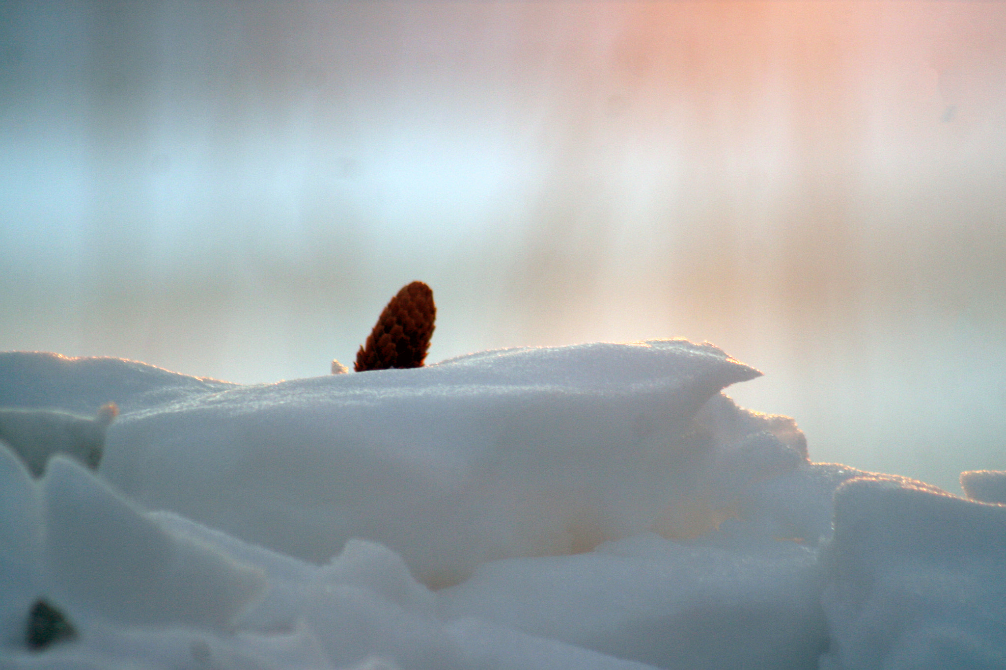 Canon EOS 30D + EF75-300mm f/4-5.6 sample photo. шишка в снегу photography