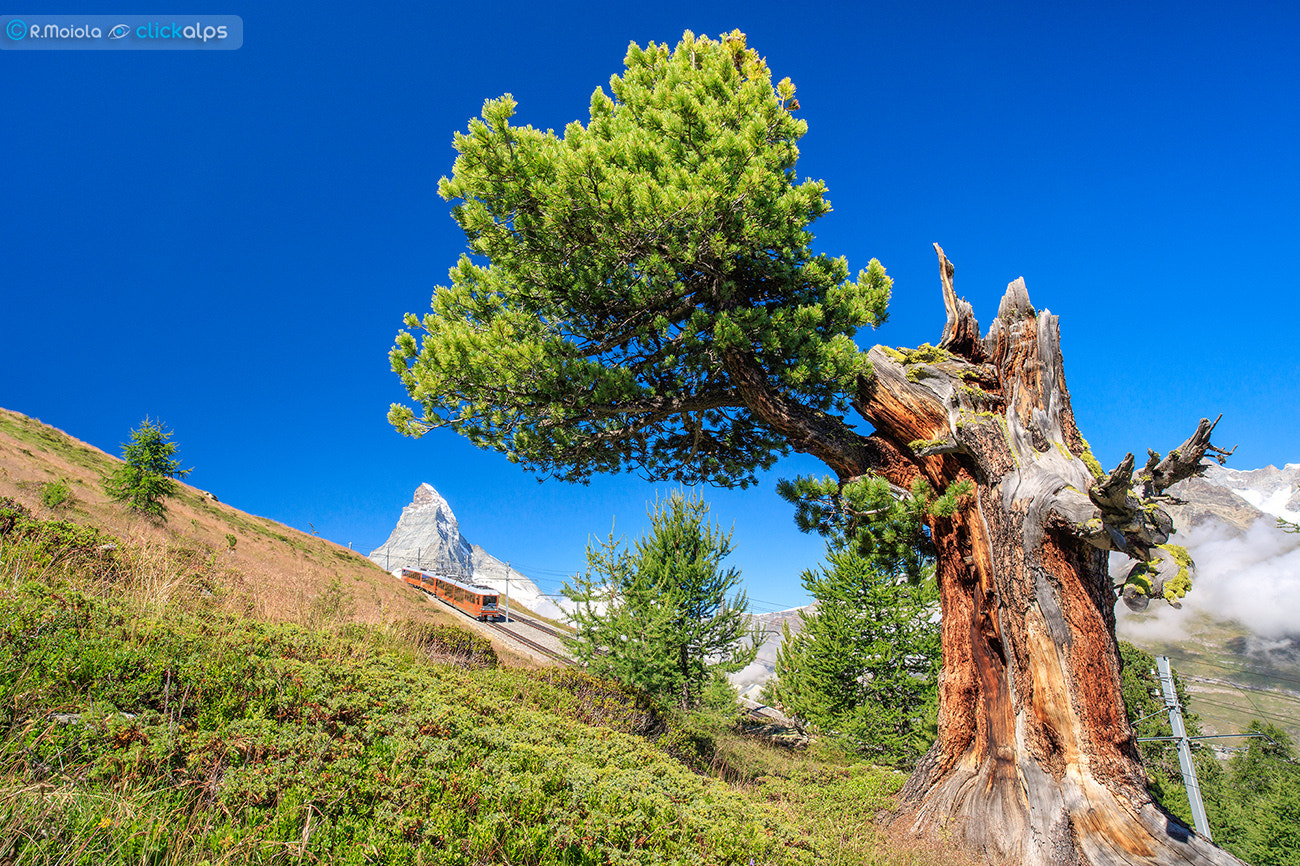Canon EOS 5DS sample photo. A day in zermatt photography