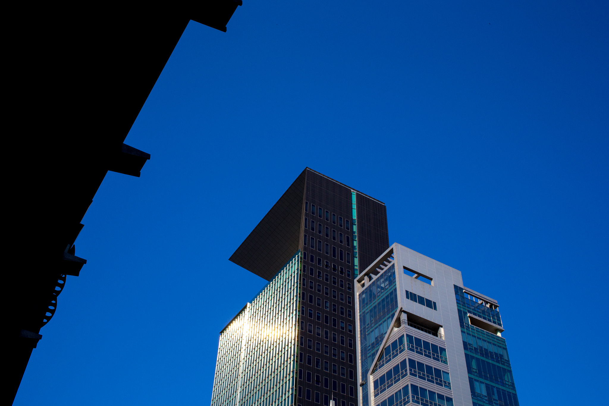 Canon EF 40mm F2.8 STM sample photo. A photography