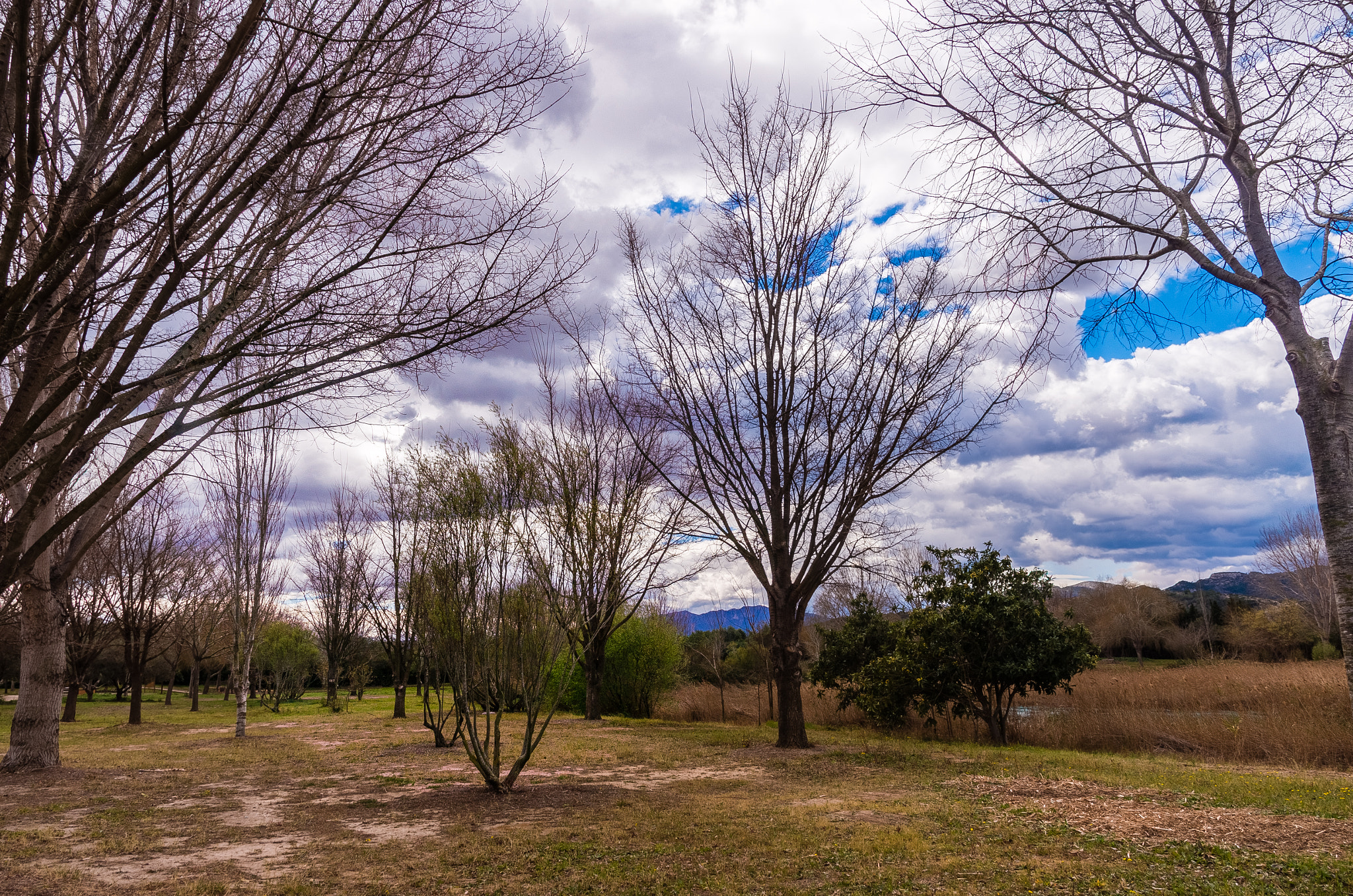Pentax K-5 IIs sample photo. Marjal gandia photography