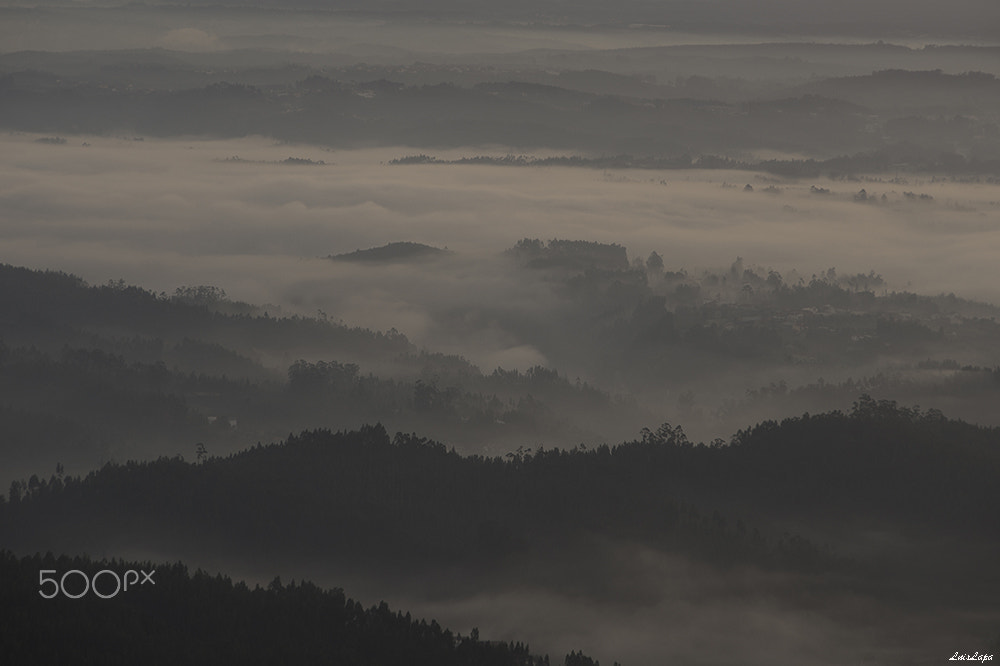Nikon D600 sample photo. Nevoeiro photography