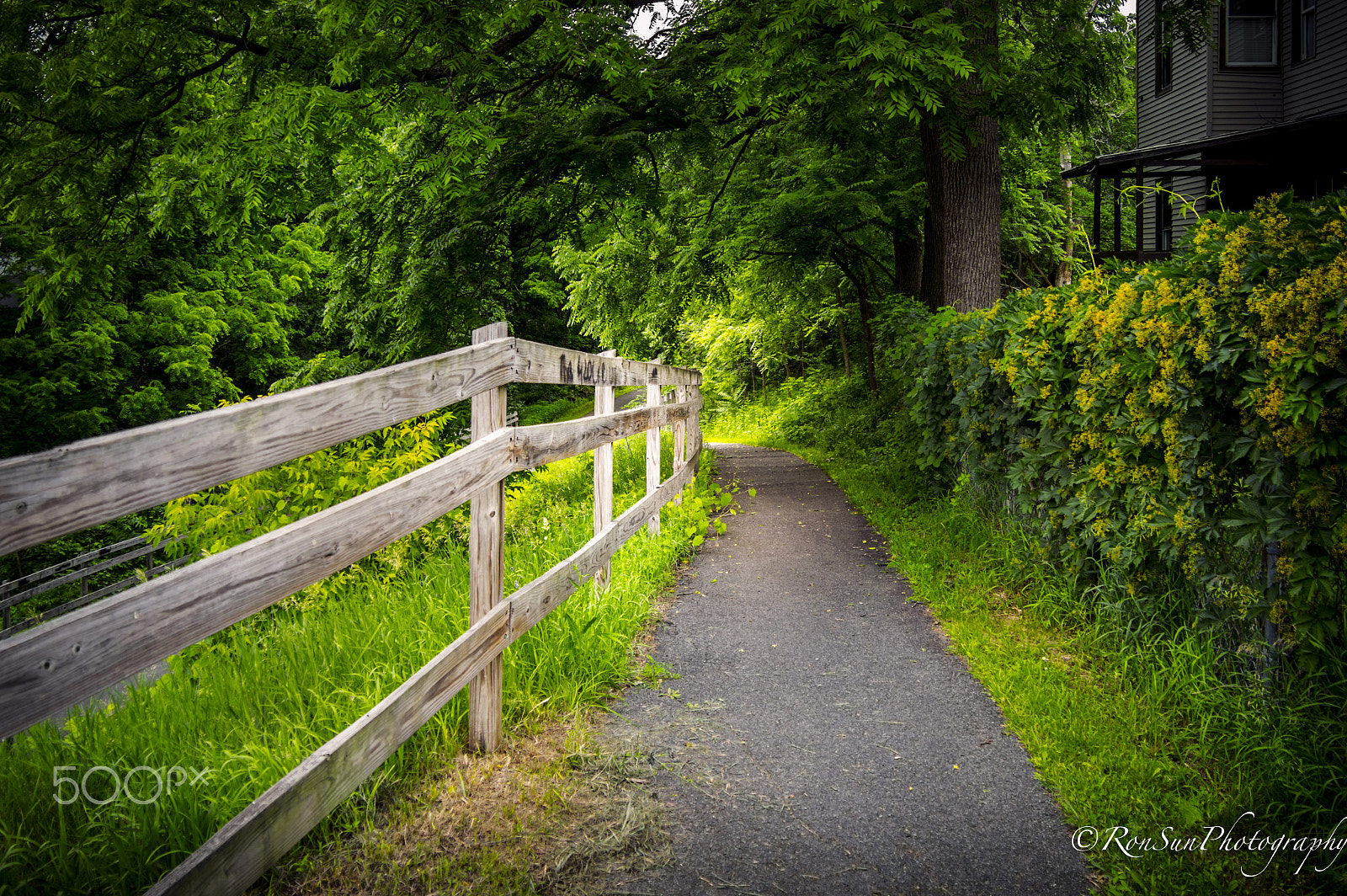 Olympus OM-D E-M5 sample photo. Path ** photography