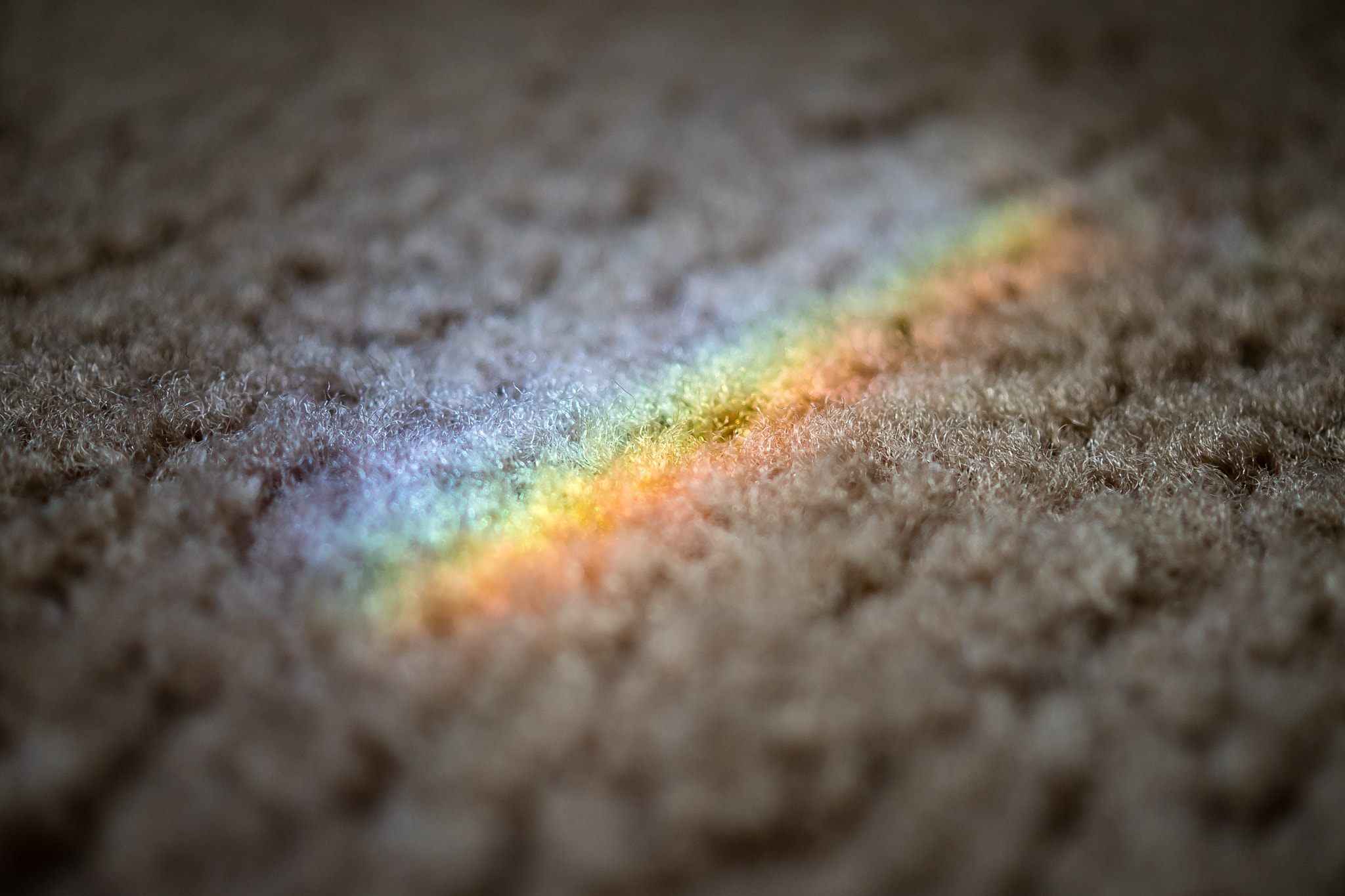 Sony a7 II + Sony DT 30mm F2.8 Macro SAM sample photo. Light dispersion on the floor. photography