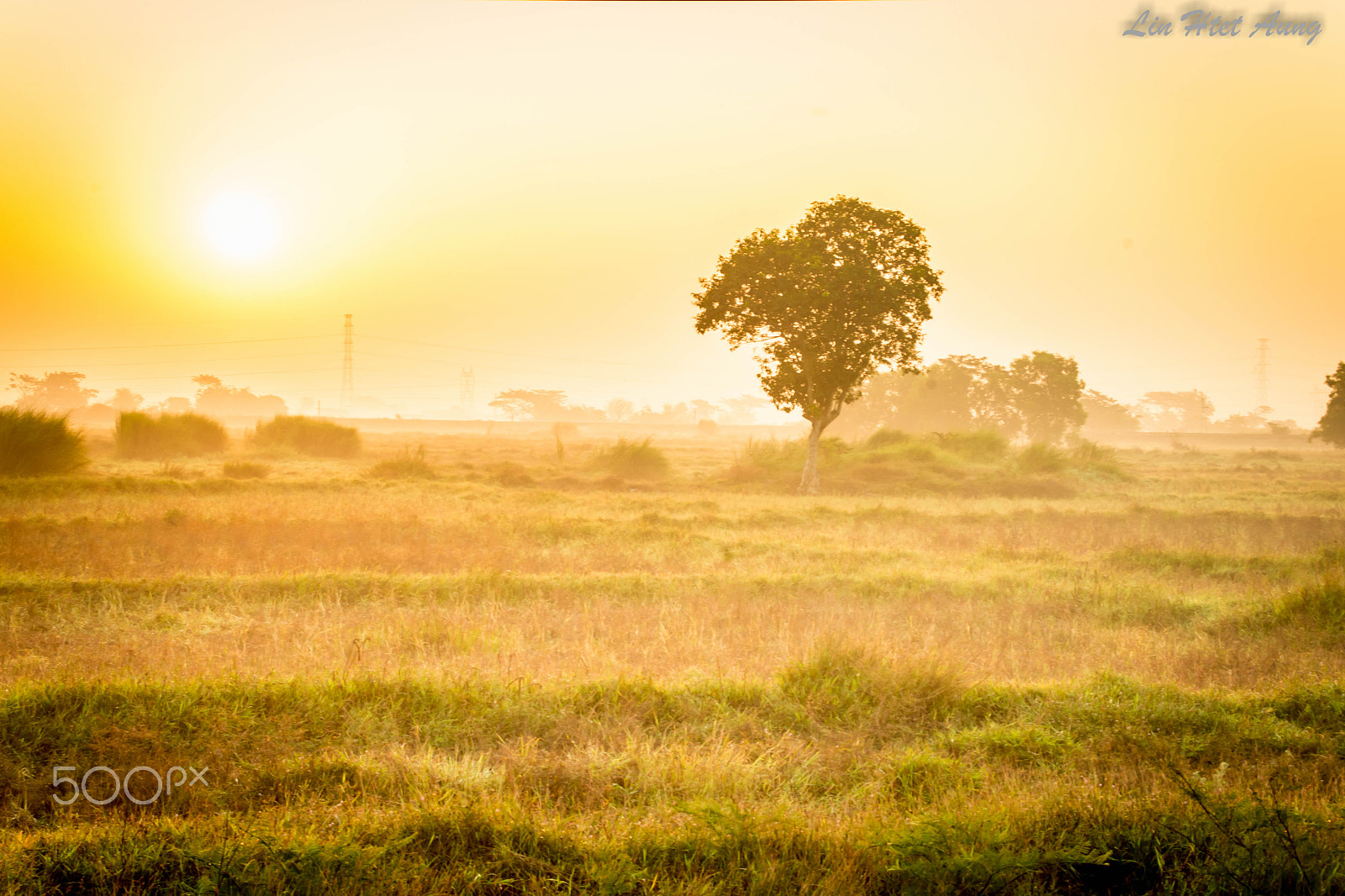 Sony 70-300mm F4.5-5.6 G SSM sample photo. ::: good morning myanmar ::: photography