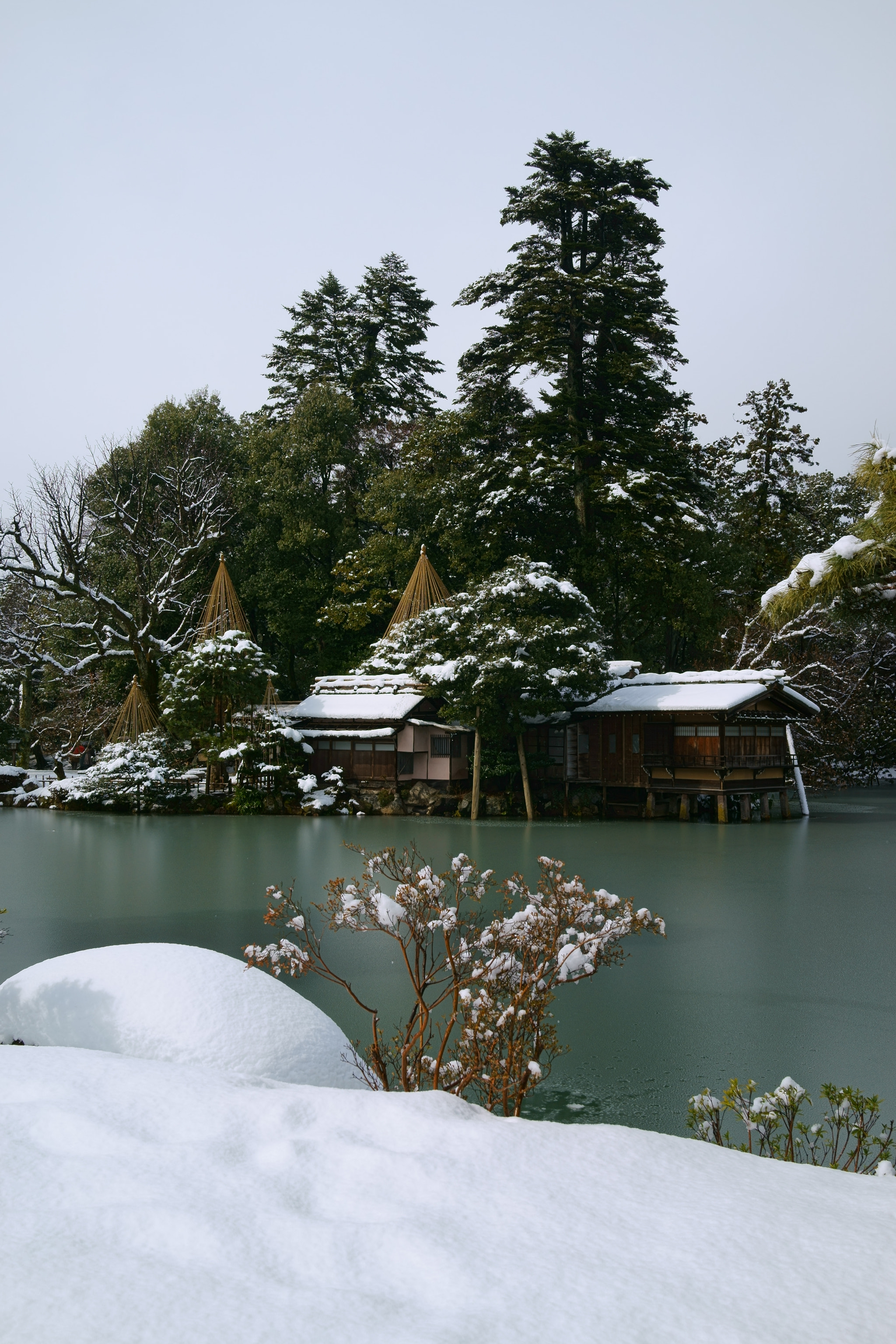 Minolta AF 28-85mm F3.5-4.5 New sample photo. Warm winter at kenroku-en photography
