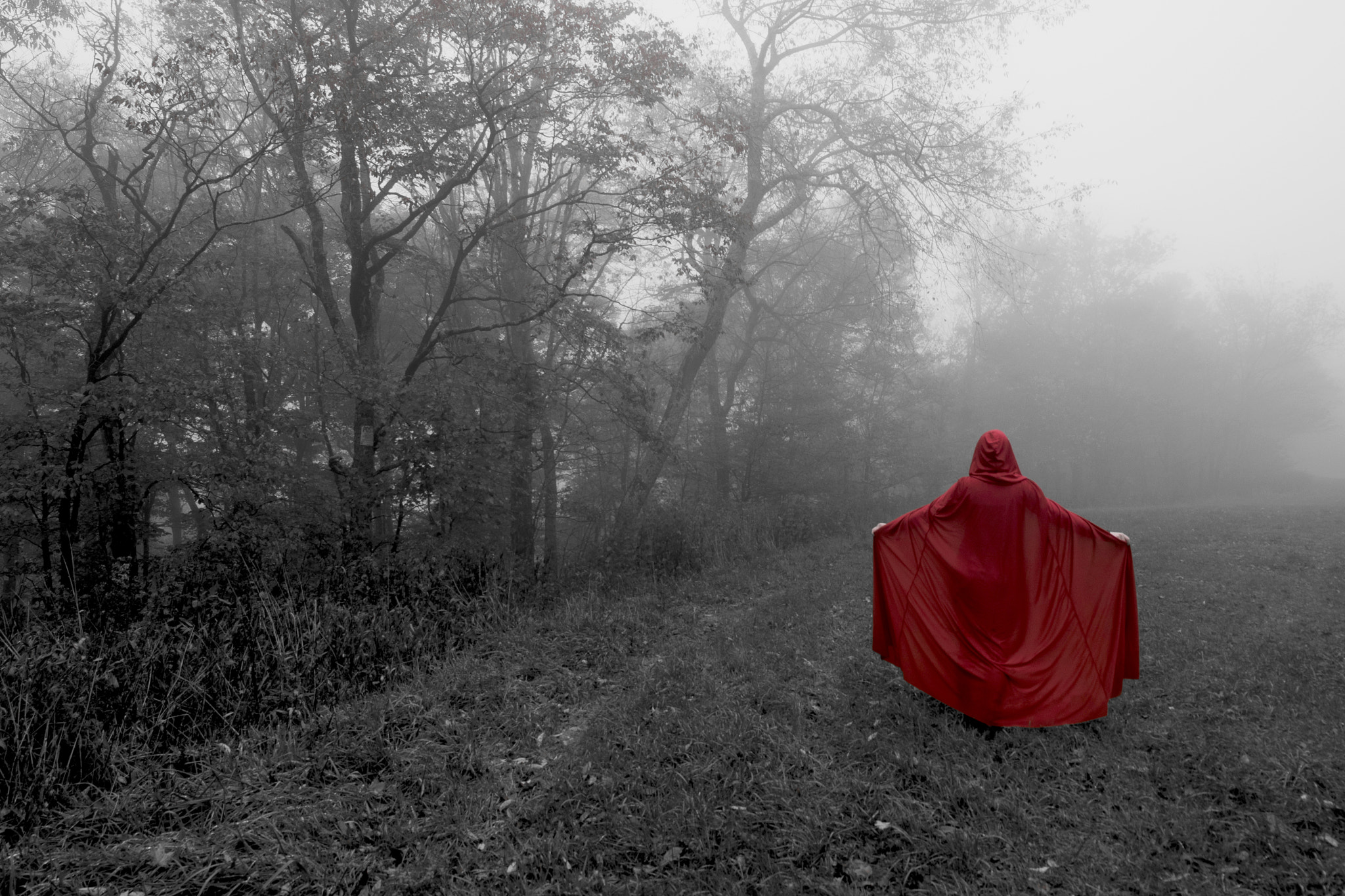 Samyang 14mm F2.8 ED AS IF UMC sample photo. Red riding hood 1 photography