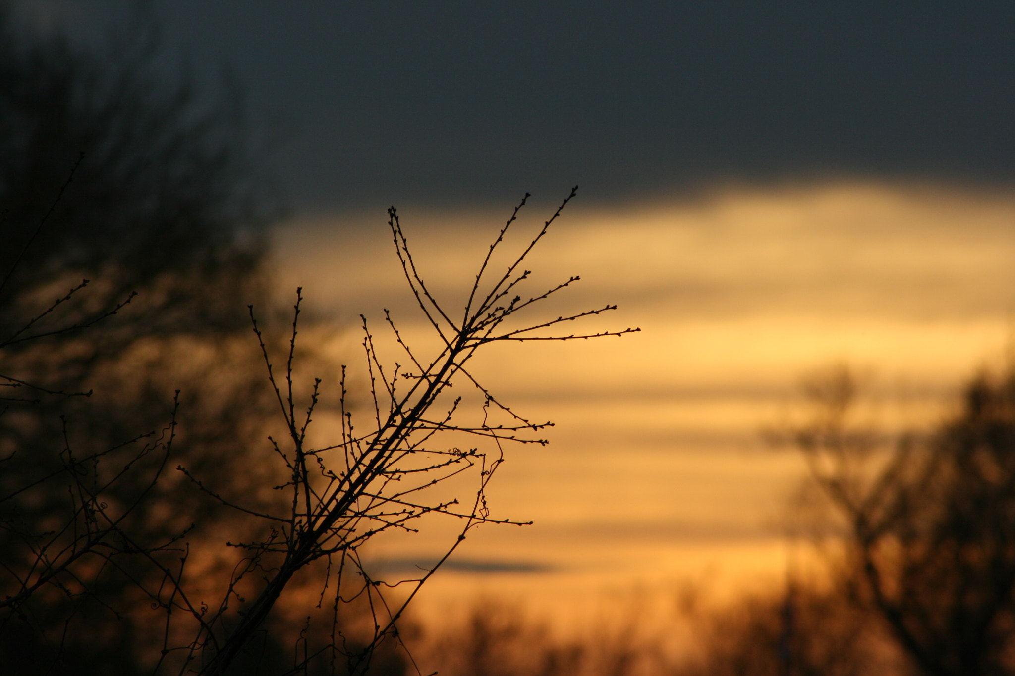 Canon EOS 400D (EOS Digital Rebel XTi / EOS Kiss Digital X) sample photo. The sunset photography