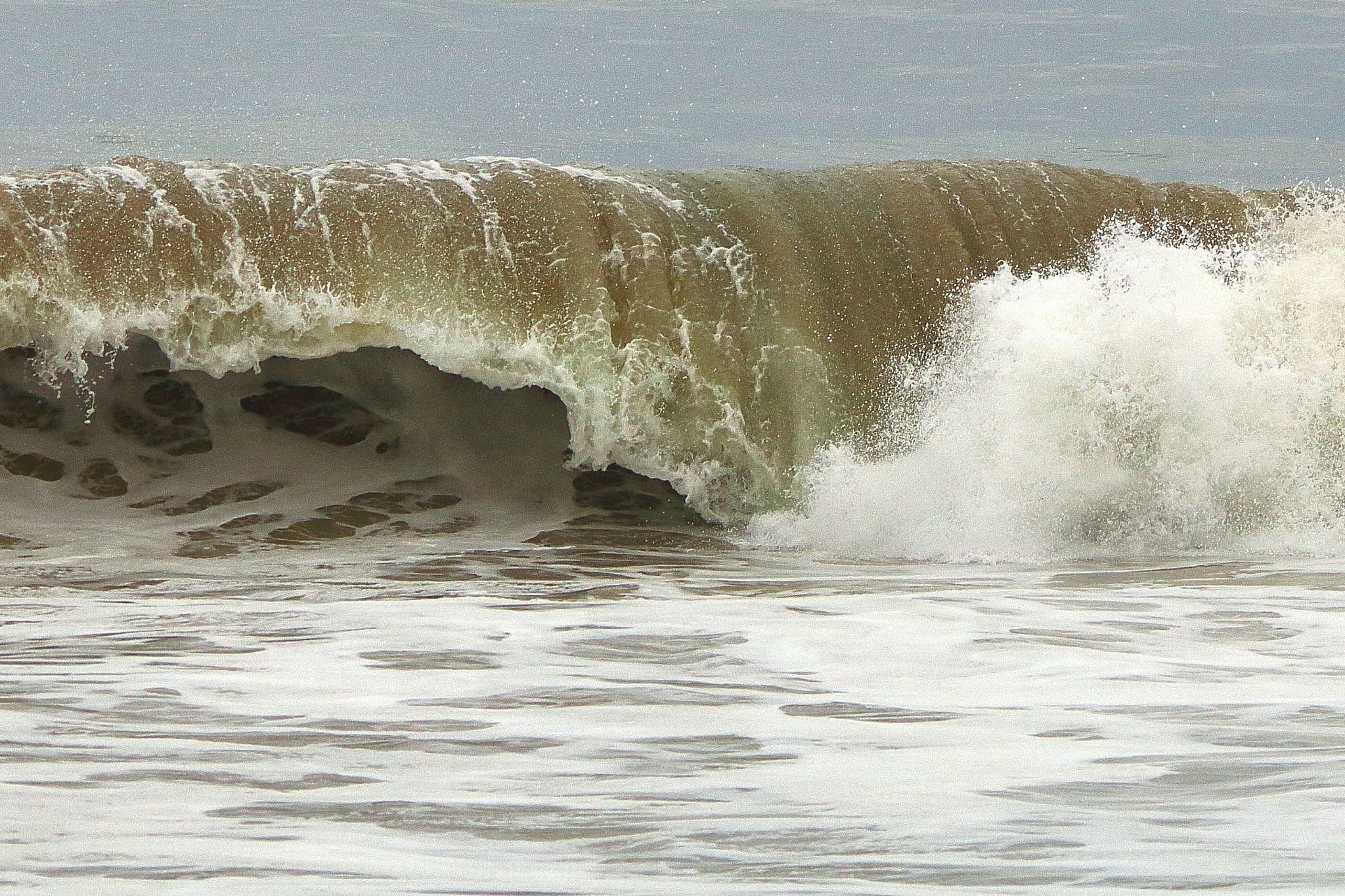 Sigma 150-500mm F5-6.3 DG OS HSM sample photo