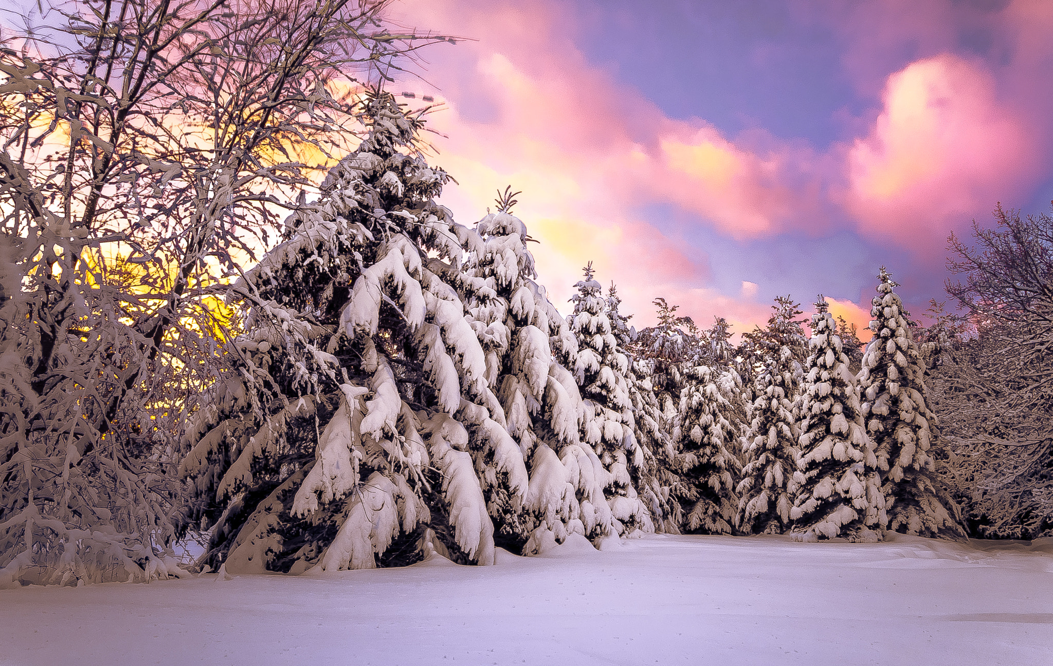 Sony SLT-A99V sample photo. Winter sunset photography