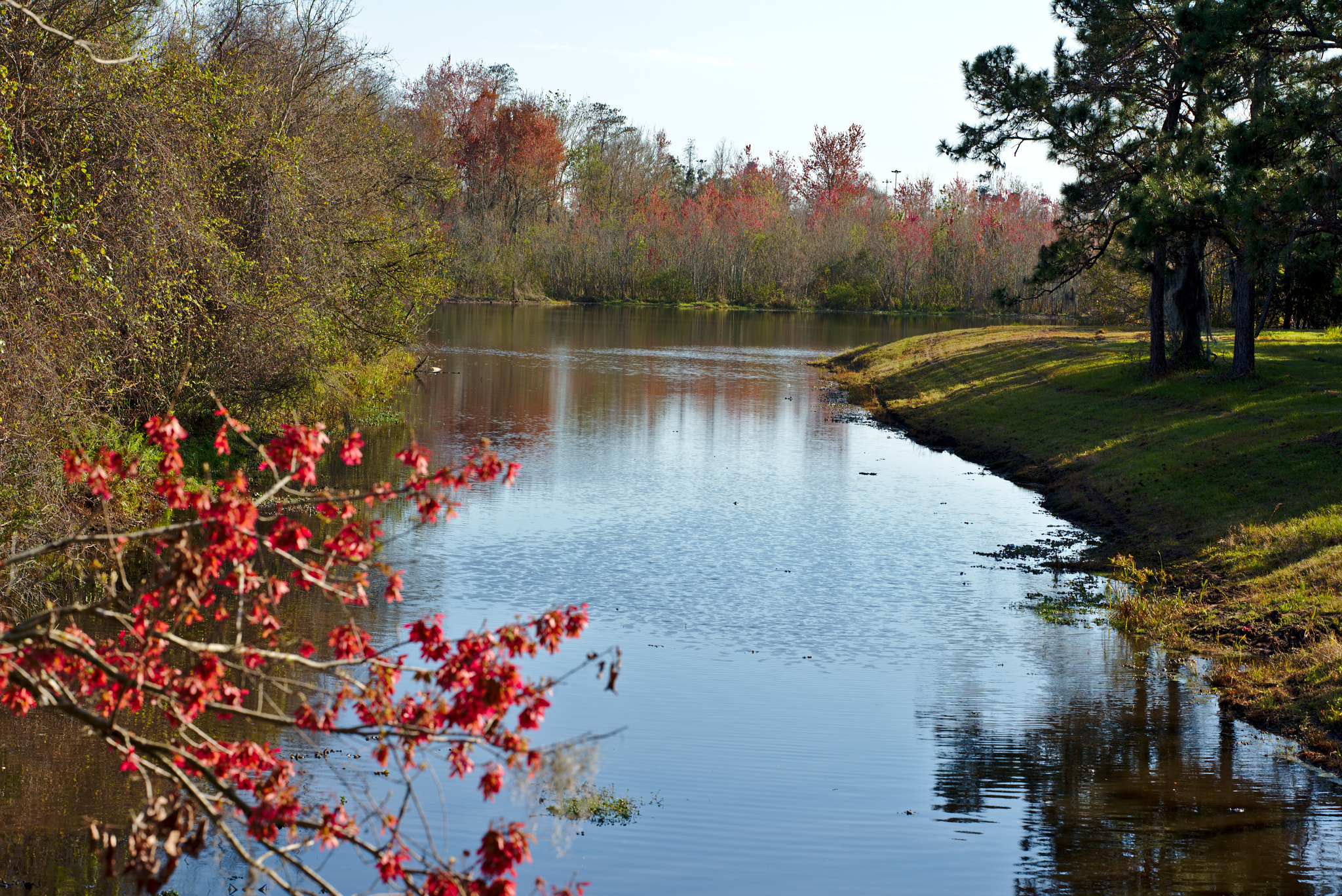 ZEISS Otus 85mm F1.4 sample photo. Quiet lake in the afternoon sun photography