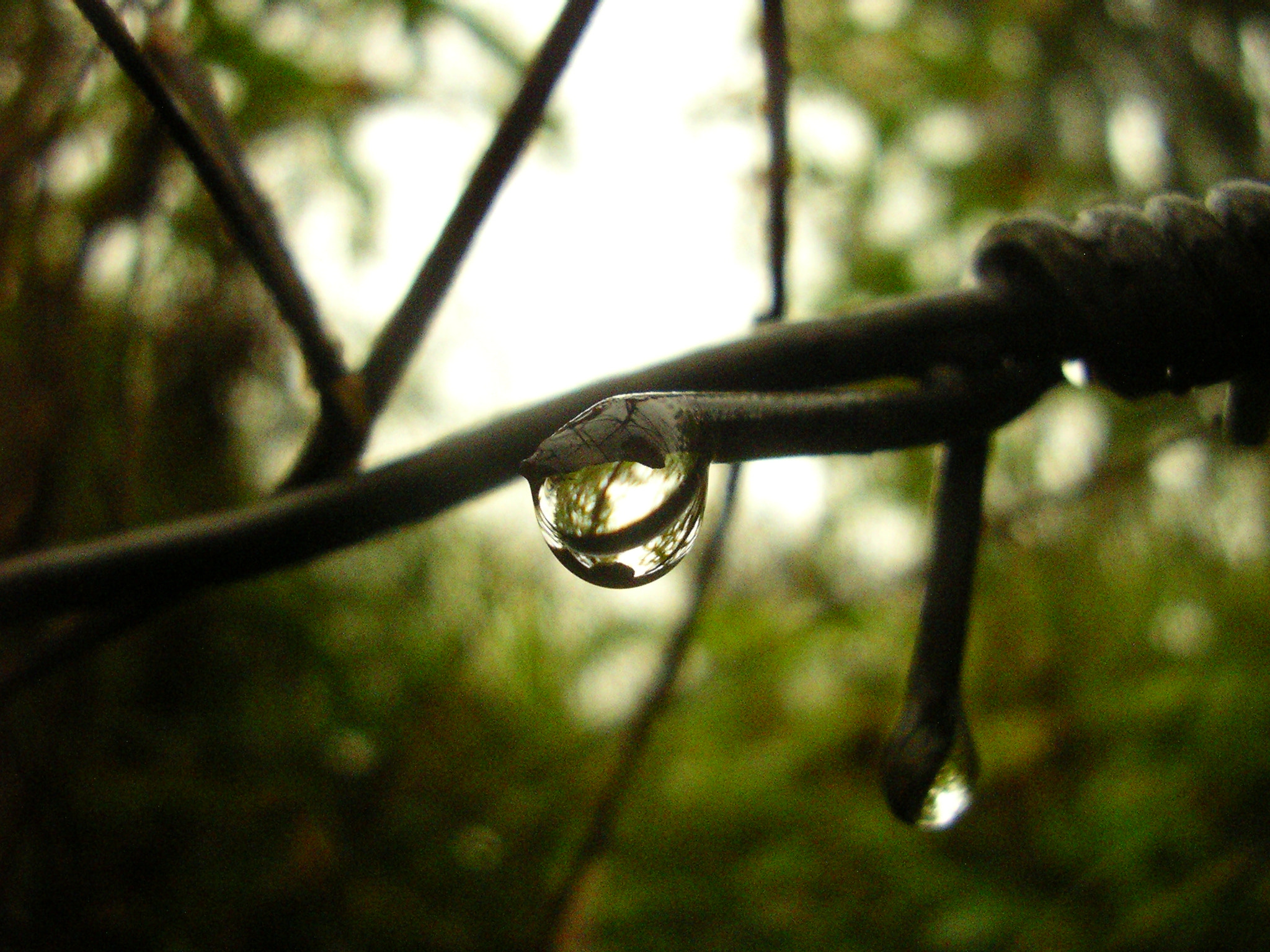Pentax OPTIO 30 sample photo
