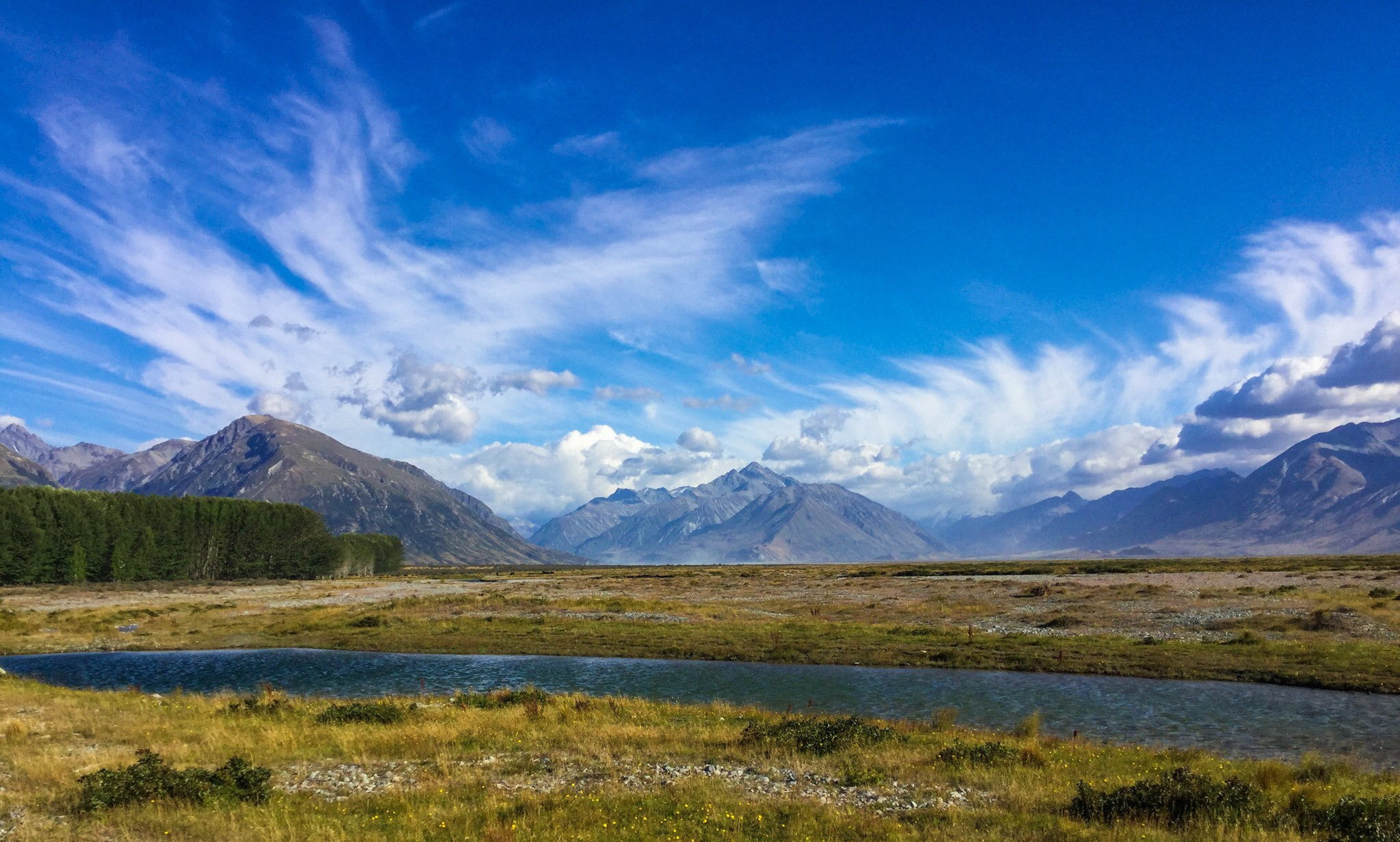 iPad Air 2 back camera 3.3mm f/2.4 sample photo. Summer colours in the high country photography