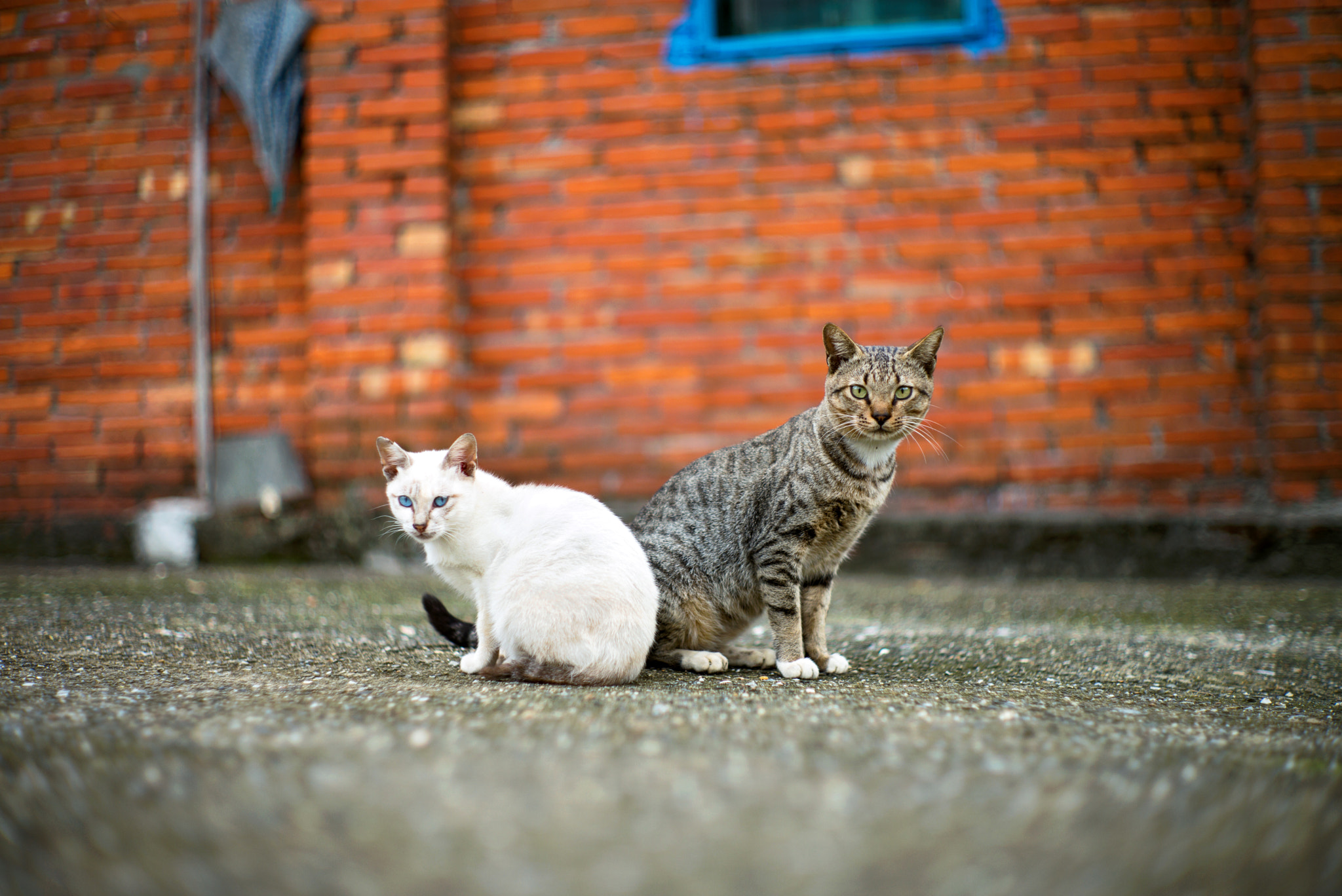 Summilux-M 1:1.4/50 sample photo. L1000129.jpg photography