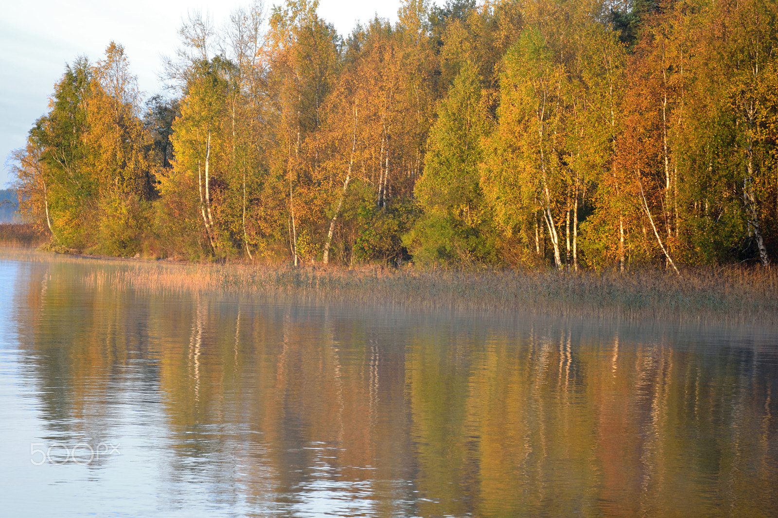 Nikon D3100 + Nikon AF-S Nikkor 24-85mm F3.5-4.5G ED VR sample photo. Autumn forest on the lake at sunrise. photography