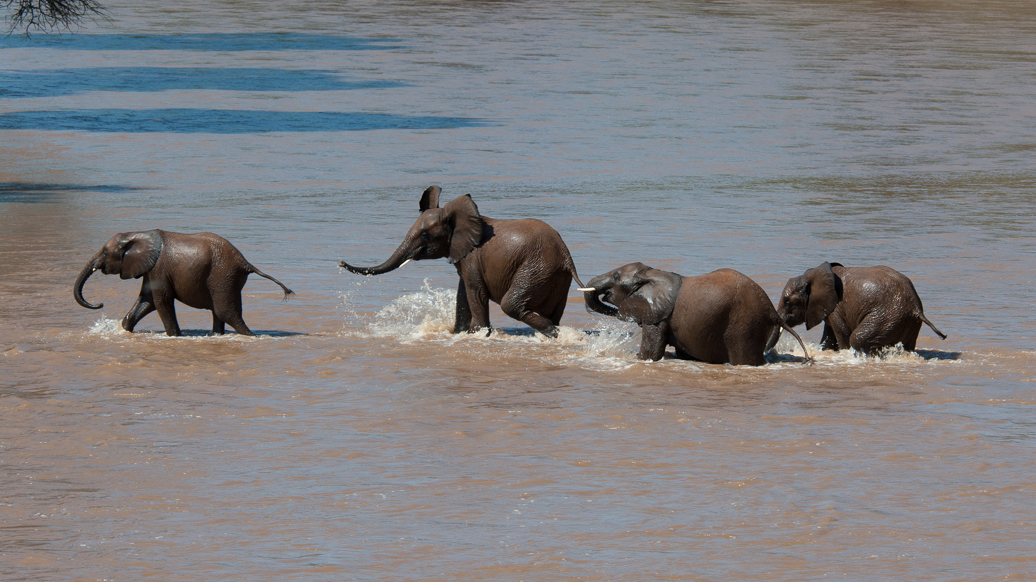 Nikon D200 sample photo. Fun in the water photography