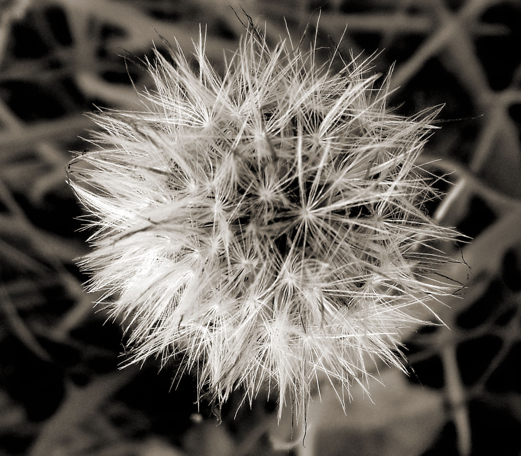 MEDION MD85863 sample photo. Soleil noir photography