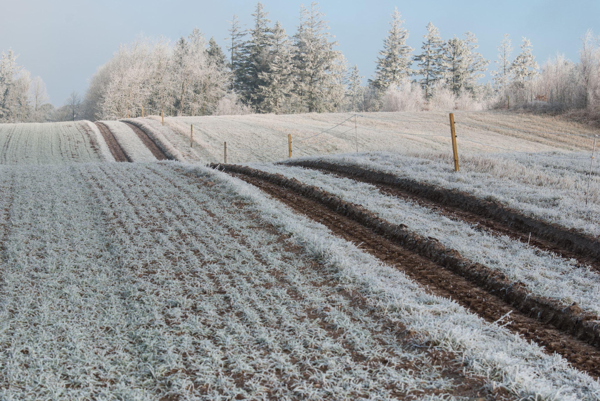 Nikon AF-S Nikkor 70-200mm F2.8G ED VR II sample photo. Winter morning photography