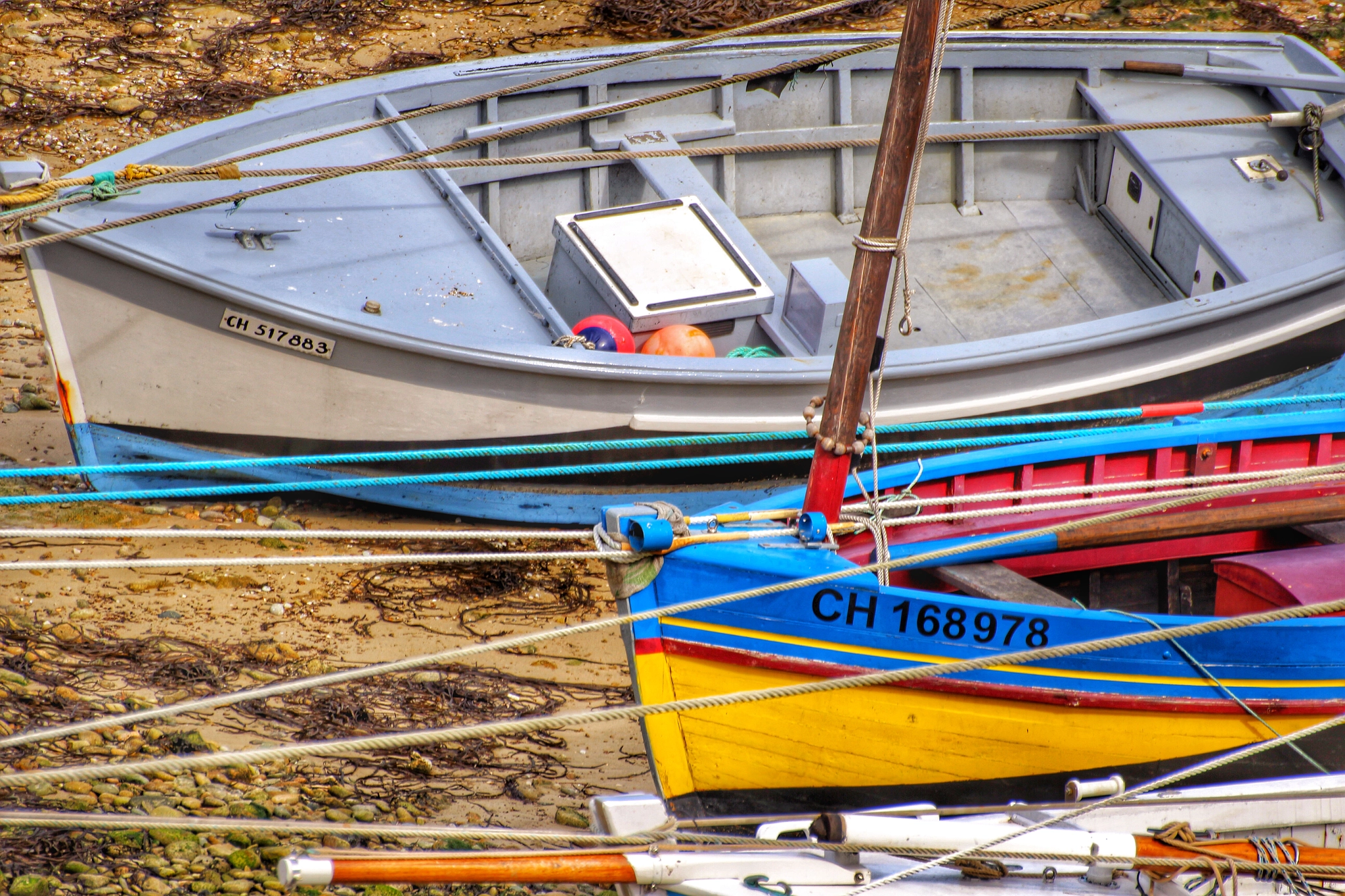 Canon EOS 600D (Rebel EOS T3i / EOS Kiss X5) + Canon 70-300mm sample photo. Couleurs marines photography