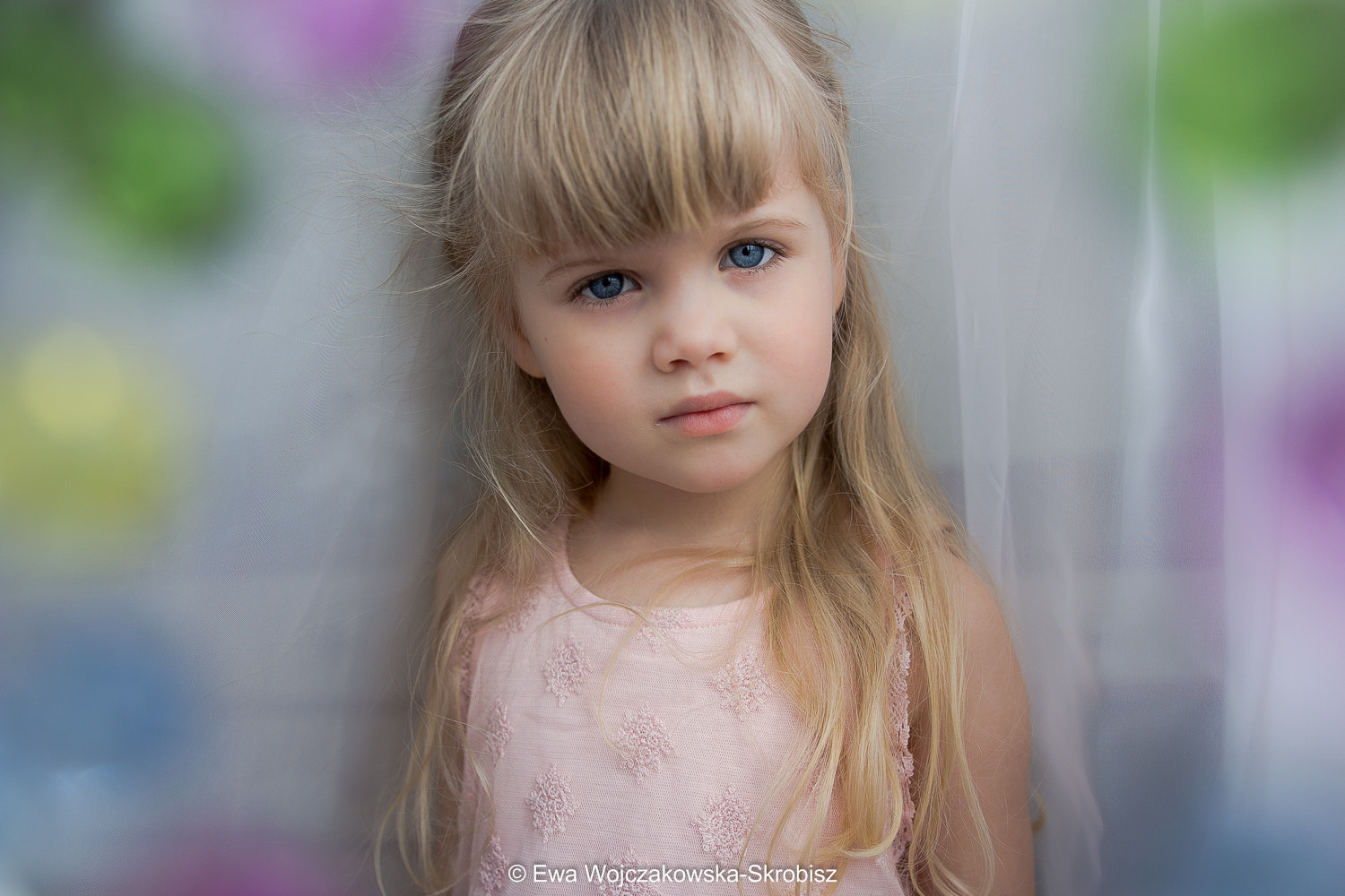 Sigma 18-35mm f/1.8 DC HSM sample photo. Angel photography