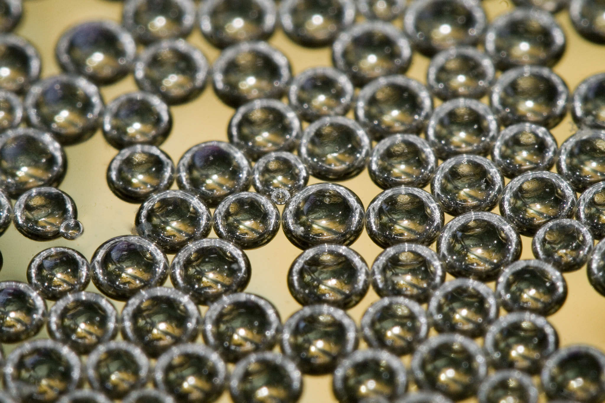Canon EF 100mm F2.8 Macro USM sample photo. Bubble photography