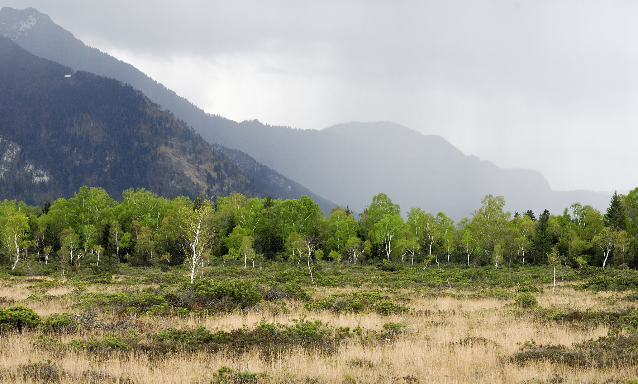 Nikon D200 sample photo. Regenfront photography