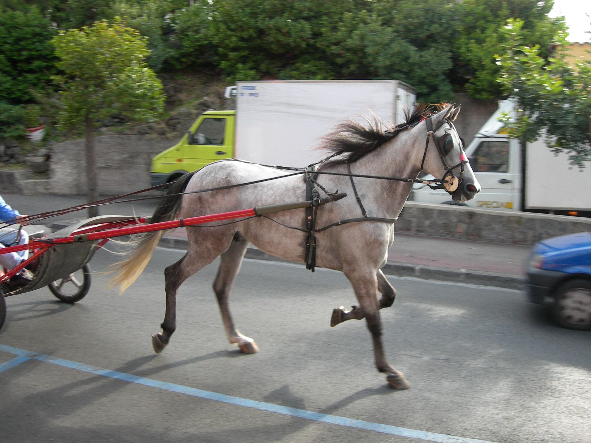 Nikon E7600 sample photo. Island traffic, ischia, italy photography