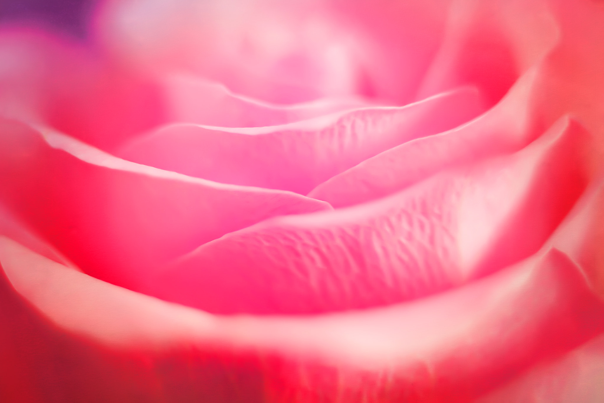 Canon EF 50mm F2.5 Macro sample photo. Ripple effect photography