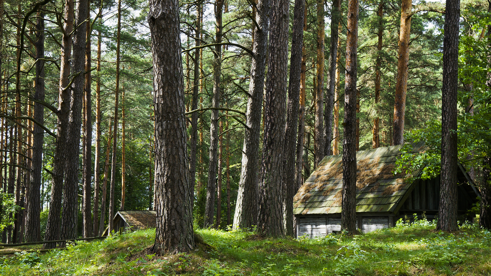 Sony Alpha NEX-5T + Sony Vario-Tessar T* E 16-70mm F4 ZA OSS sample photo. Old latvian house photography