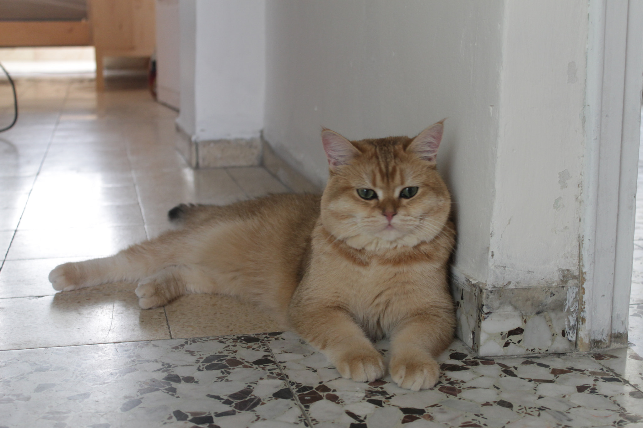 Canon EOS 1100D (EOS Rebel T3 / EOS Kiss X50) sample photo. Elvin's relaxation photography