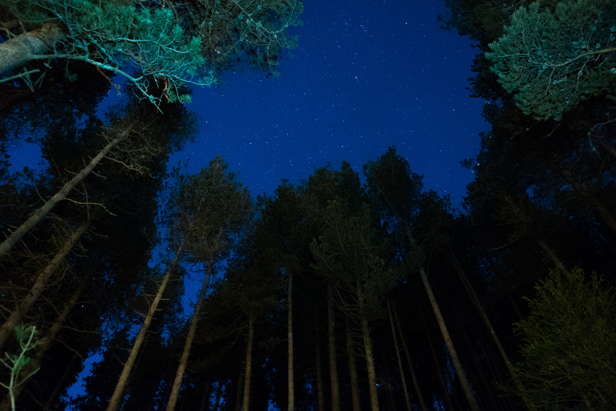 Sony a7S II + Sony FE 28-70mm F3.5-5.6 OSS sample photo. La molina photography