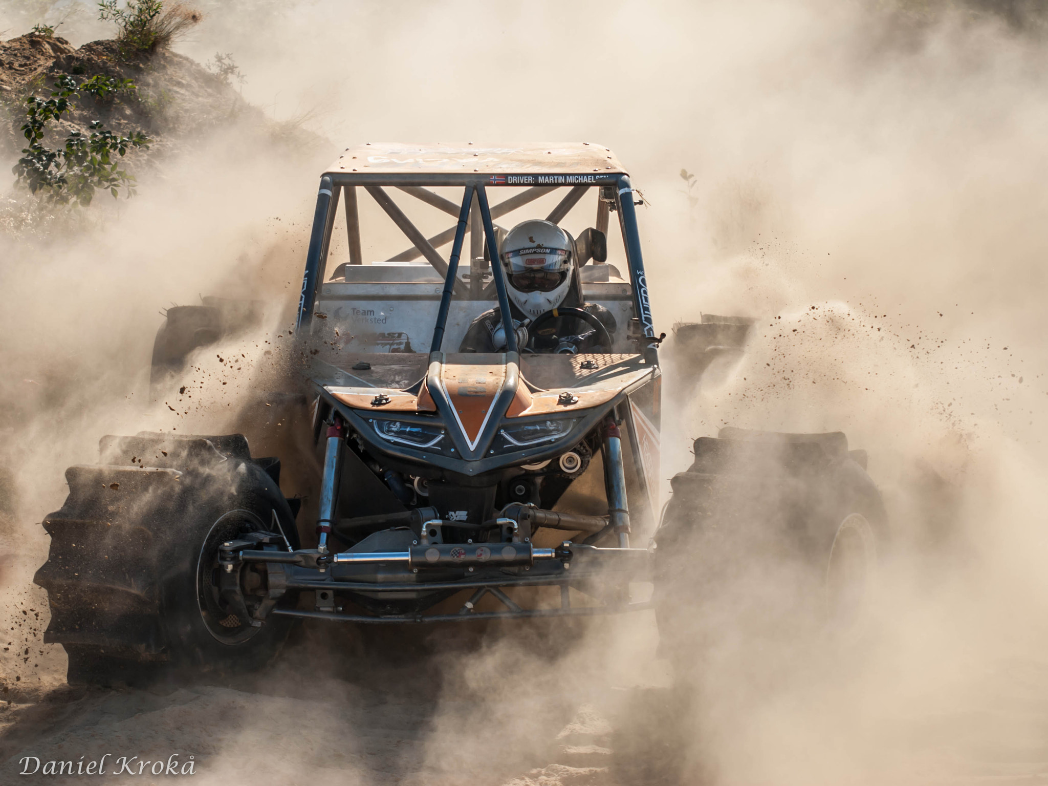 Sigma 70-200mm F2.8 EX DG Macro HSM II sample photo. 2 insane in the dust photography