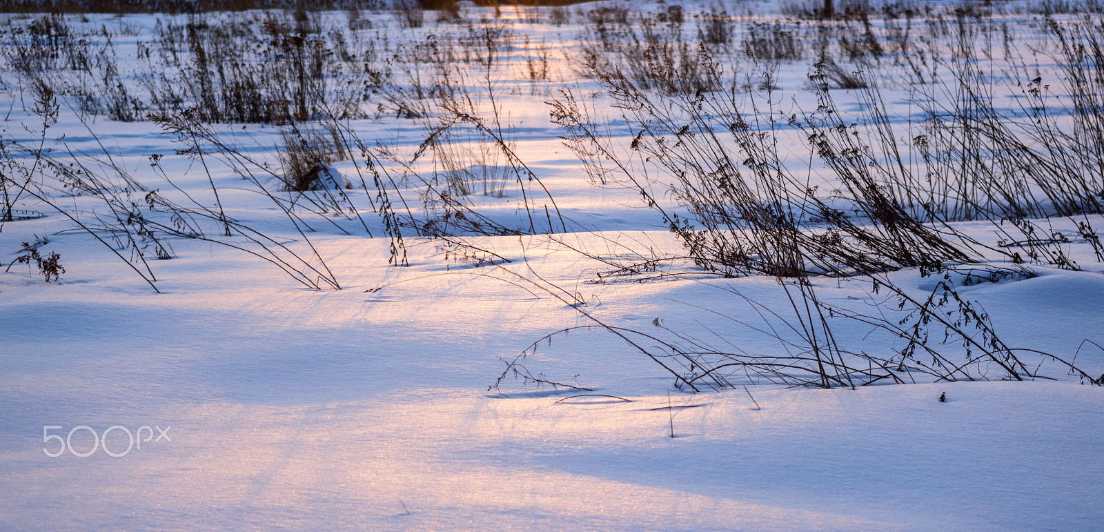 Nikon D750 + AF Zoom-Nikkor 35-105mm f/3.5-4.5 sample photo. Dsc_0242.jpg photography