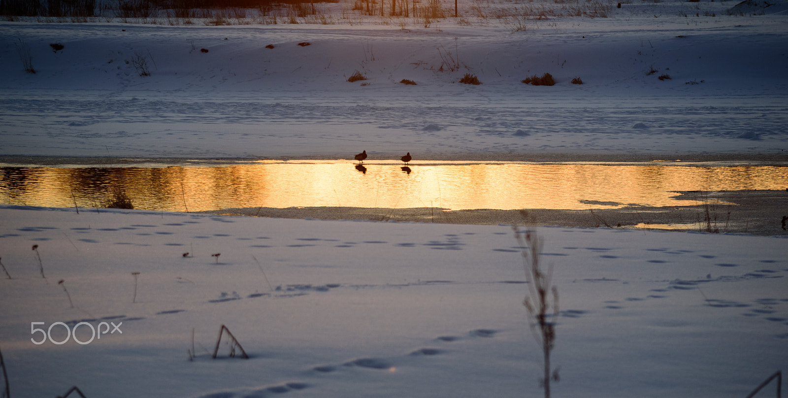 Nikon D750 + AF Zoom-Nikkor 35-105mm f/3.5-4.5 sample photo. Dsc_0251.jpg photography