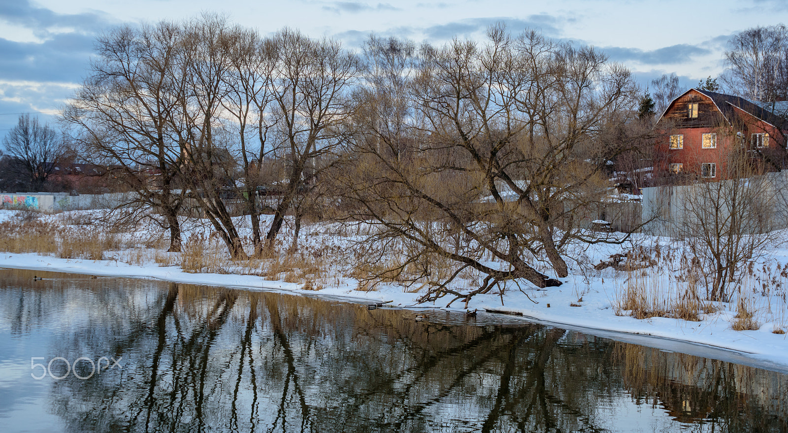 Nikon D750 + AF Zoom-Nikkor 35-105mm f/3.5-4.5 sample photo. Dsc_0286.jpg photography