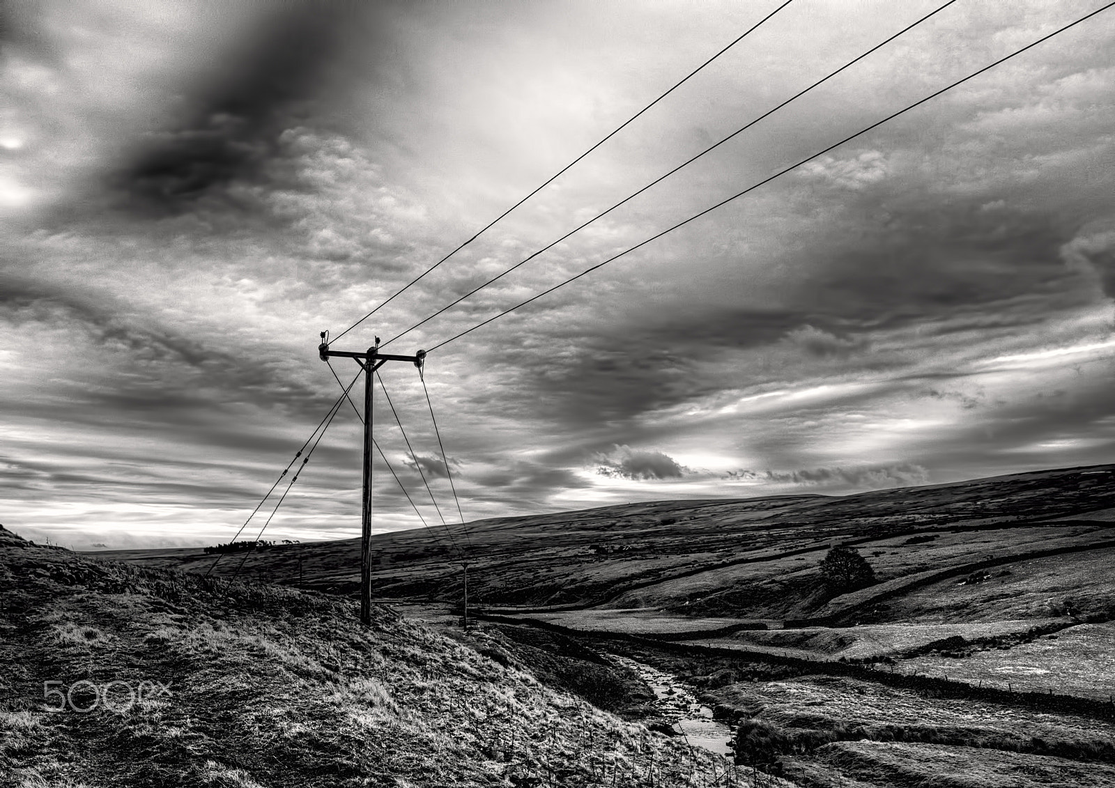 Canon TS-E 24.0mm f/3.5 L II sample photo. Winter lines photography