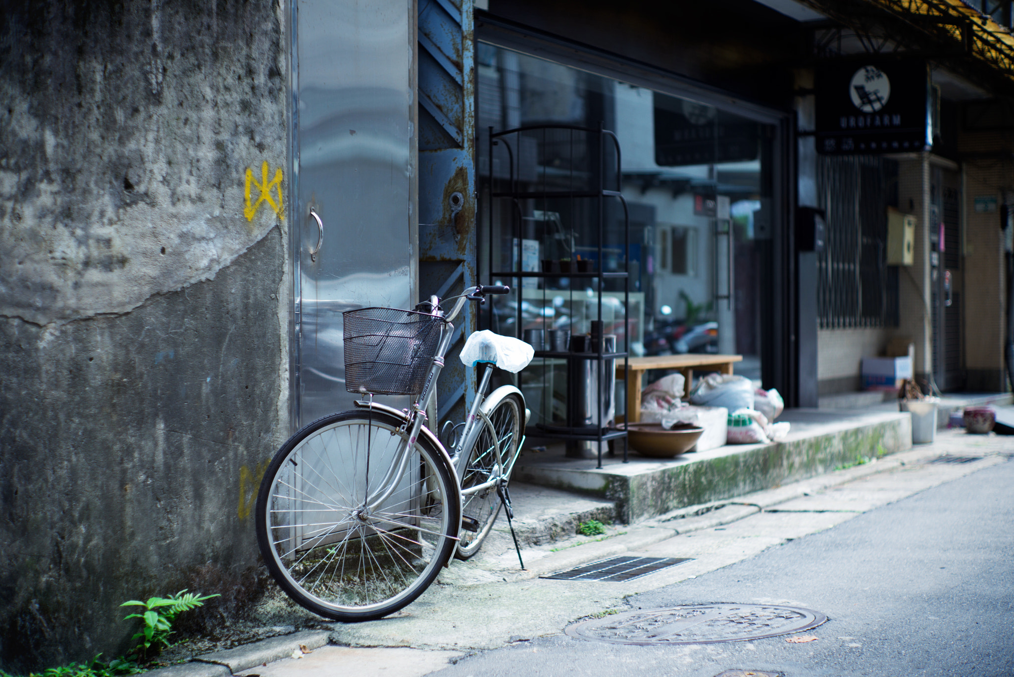 Summilux-M 1:1.4/50 sample photo. L1000305.jpg photography