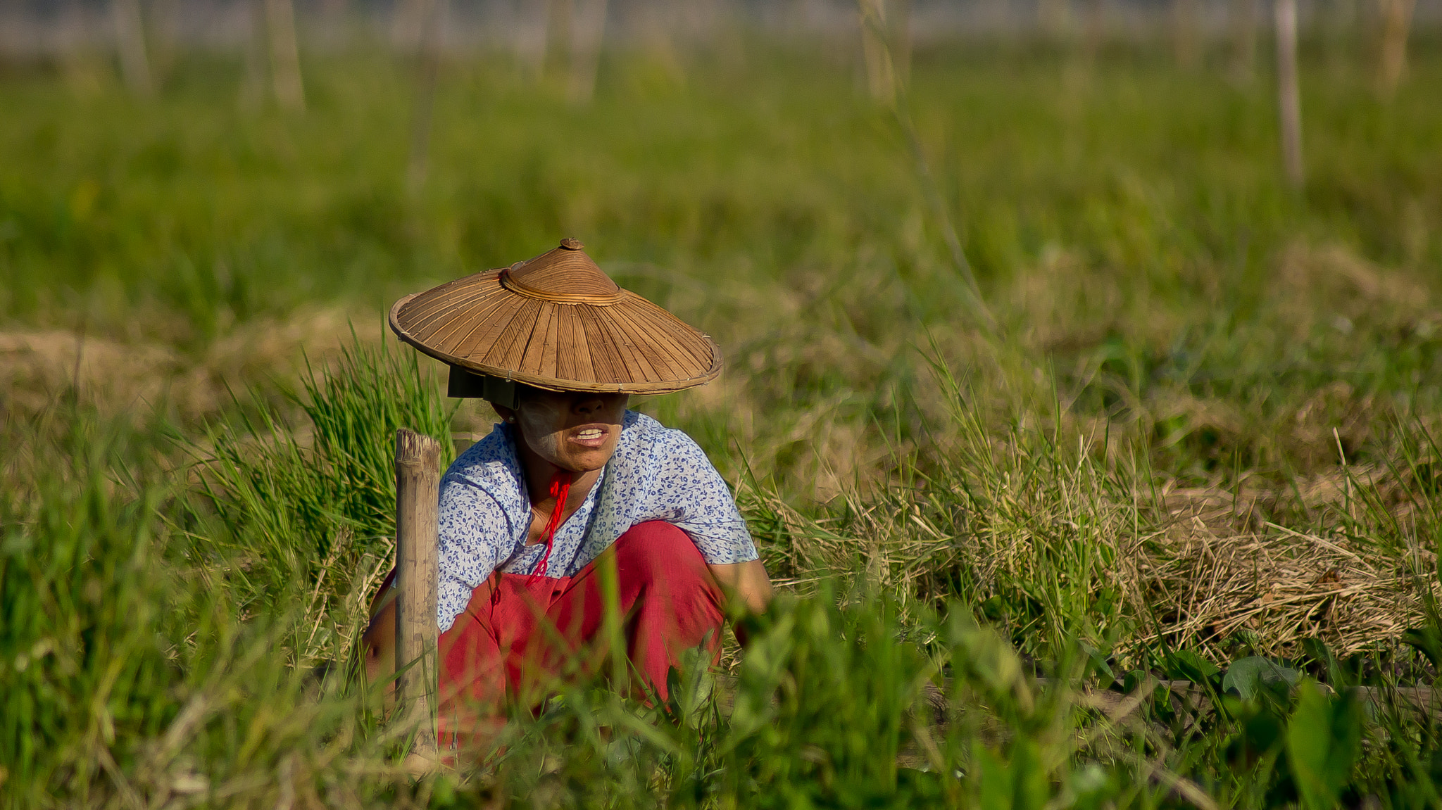 Sony SLT-A55 (SLT-A55V) sample photo. Floating grass - and woman photography