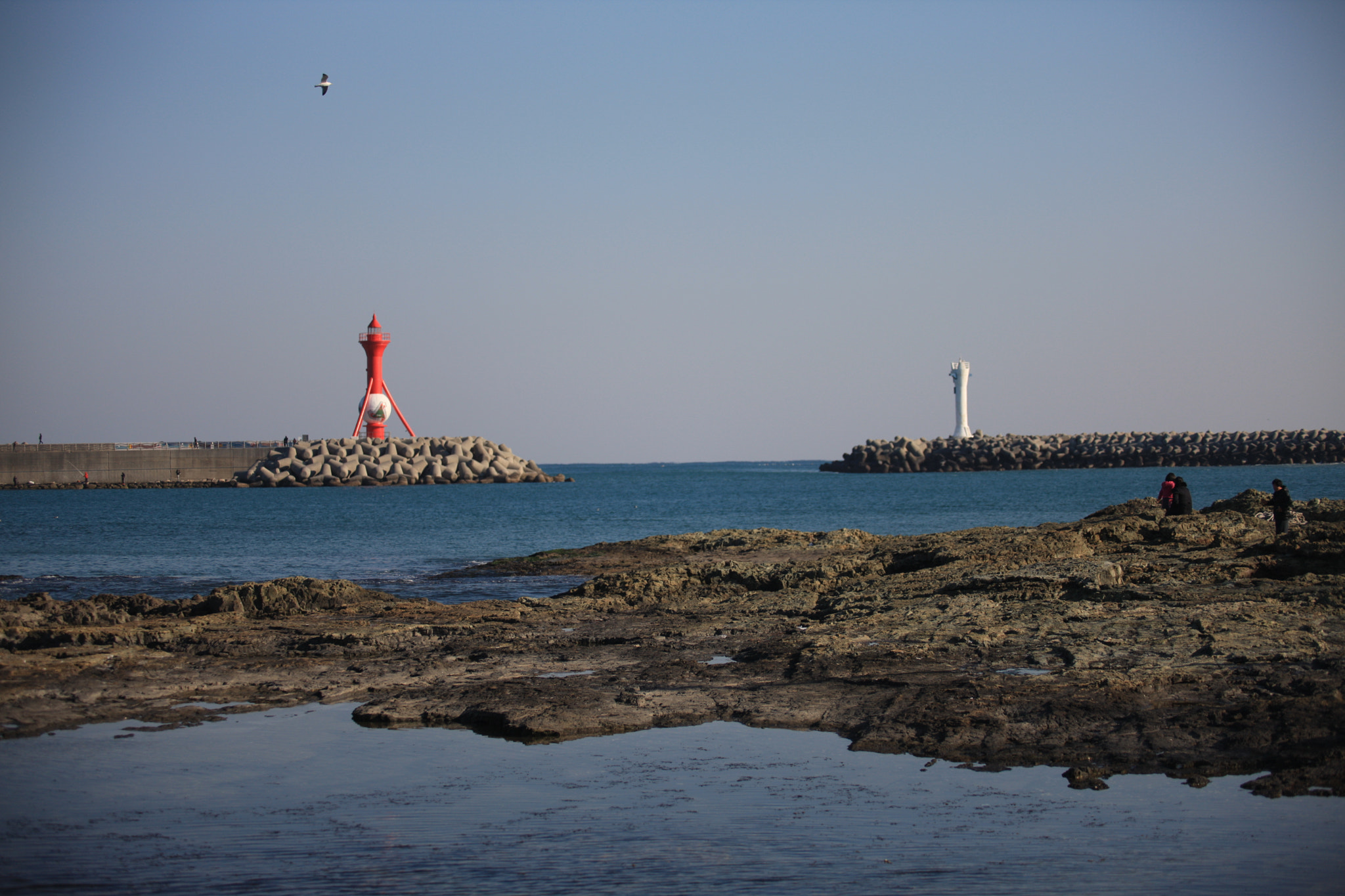 Canon EF 80-200mm f/2.8L sample photo. A duel photography