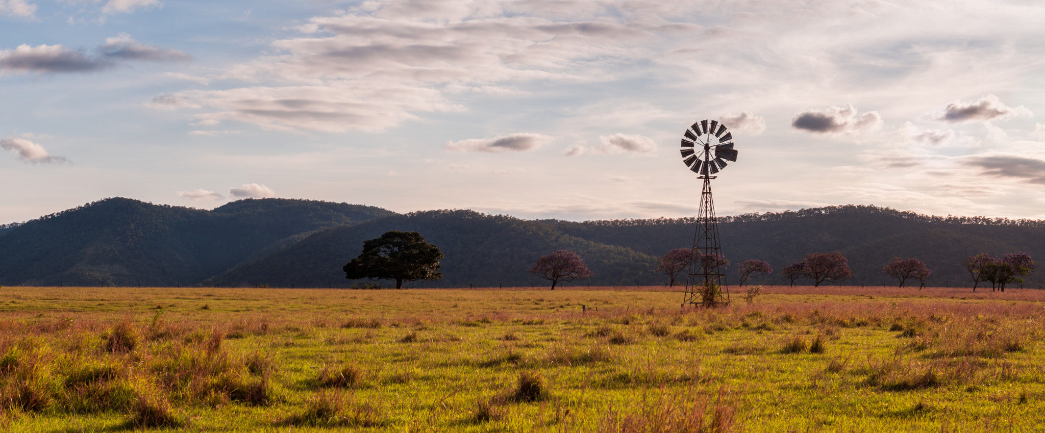 PENTAX-F 28-80mm F3.5-4.5 sample photo. Windmill photography