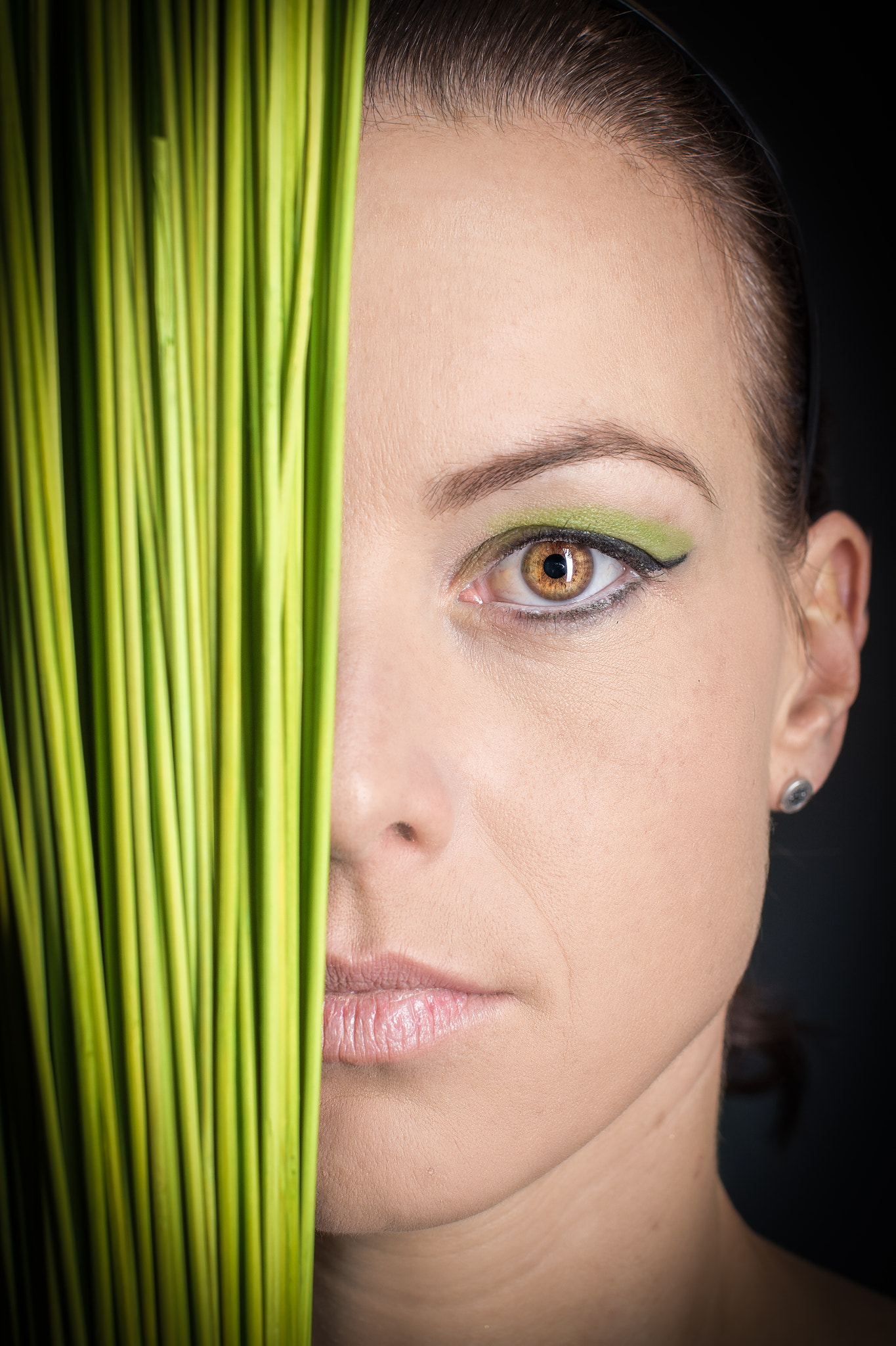 Sigma 50mm F1.4 EX DG HSM sample photo. Green nici photography