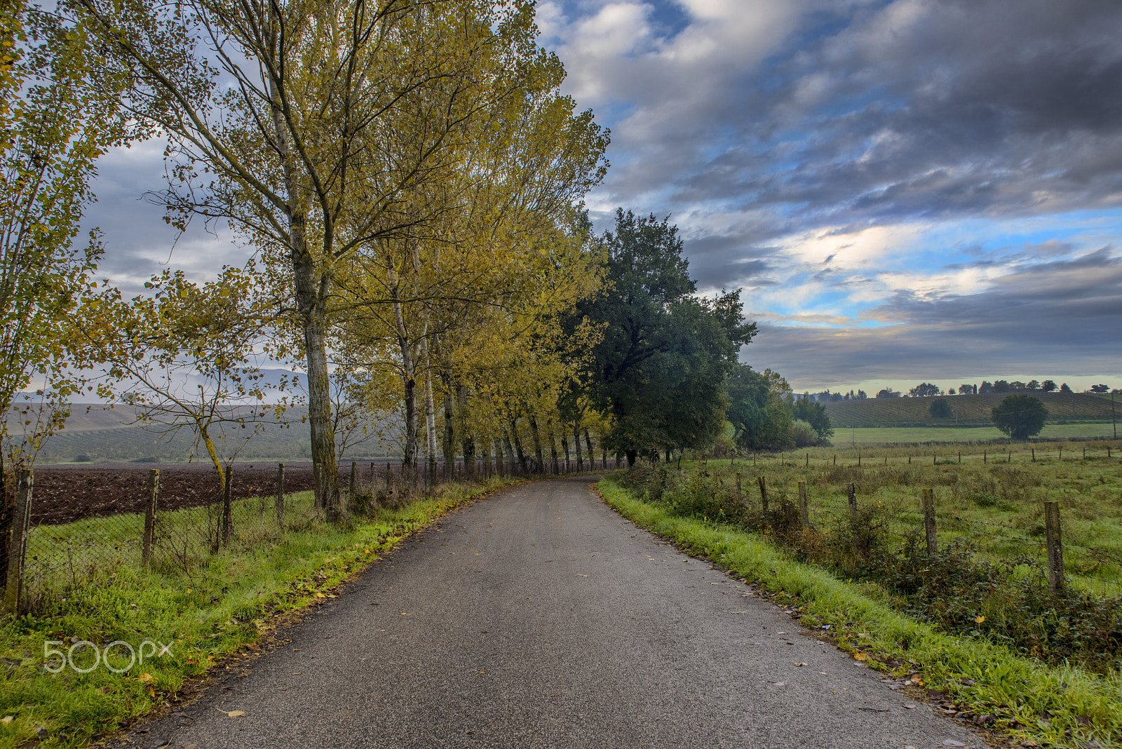 Nikon D810 + Sigma 24-70mm F2.8 EX DG Macro sample photo. Country road photography