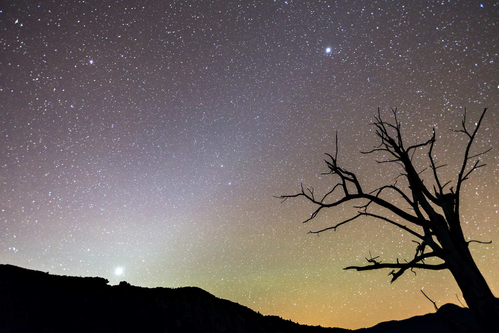 Nikon D600 + Sigma 20mm F1.8 EX DG Aspherical RF sample photo. Night time photography