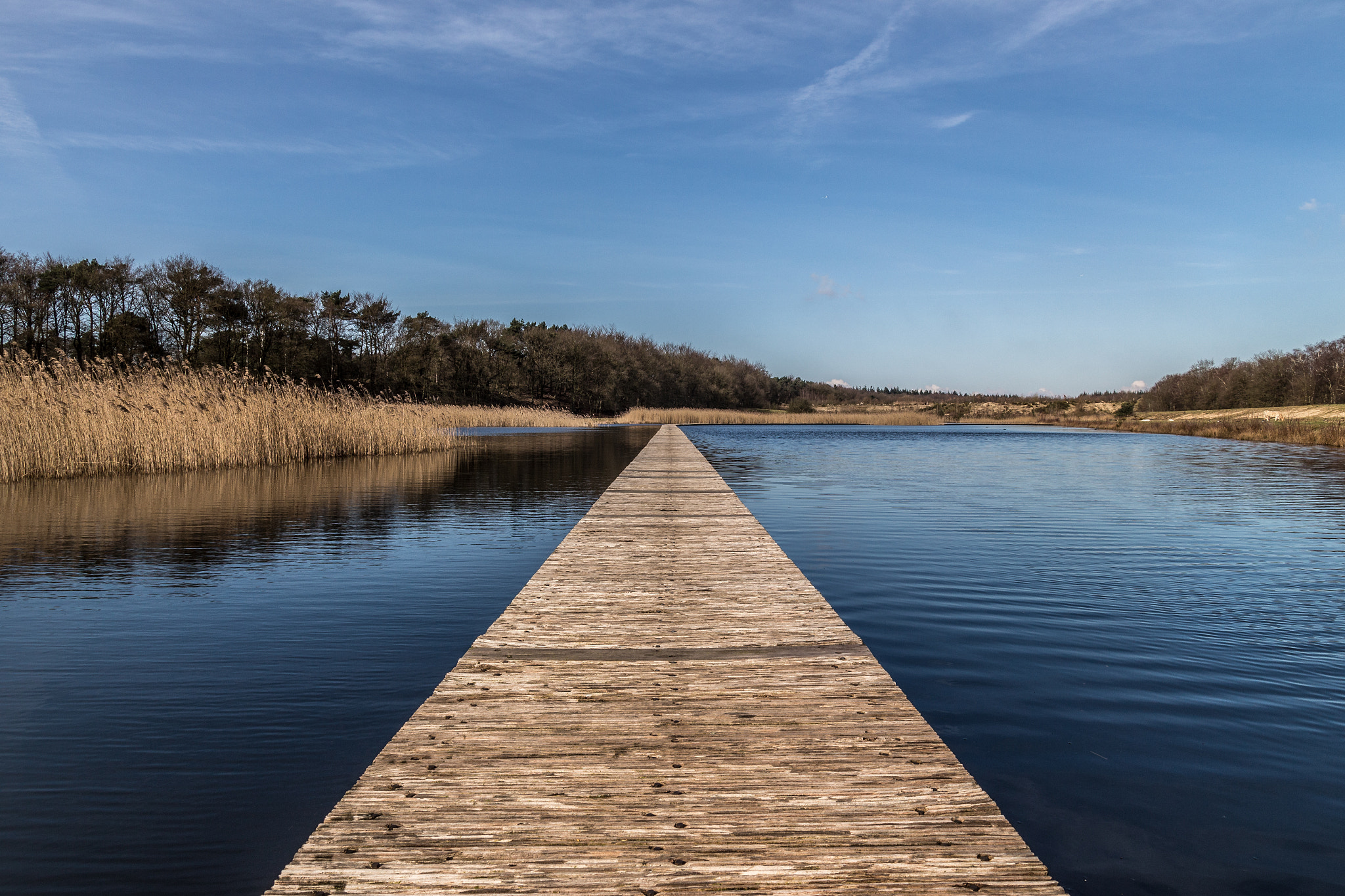 Sigma 17-70mm F2.8-4 DC Macro OS HSM sample photo. Endless water bridge photography