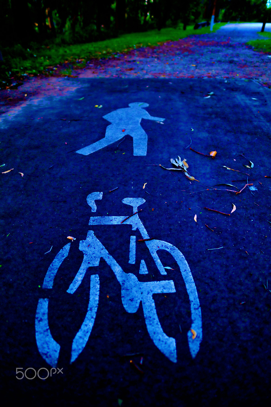 Fujifilm X-Pro1 + Fujifilm XF 16mm F1.4 R WR sample photo. Along such paths i walk photography