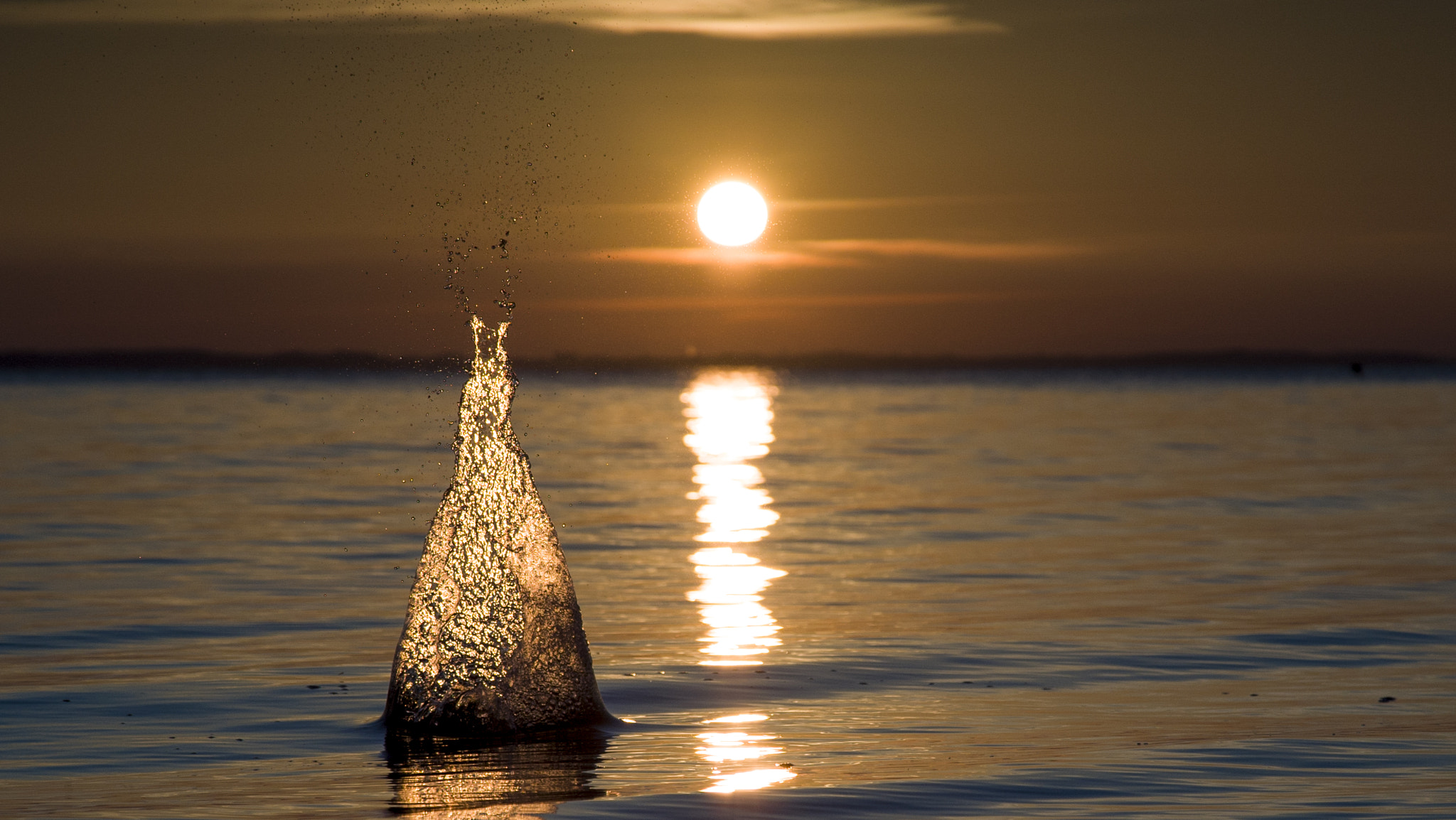 Tamron 18-270mm F3.5-6.3 Di II PZD sample photo. Freeze photography